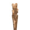 Oglala Sioux Wing Bone Awl