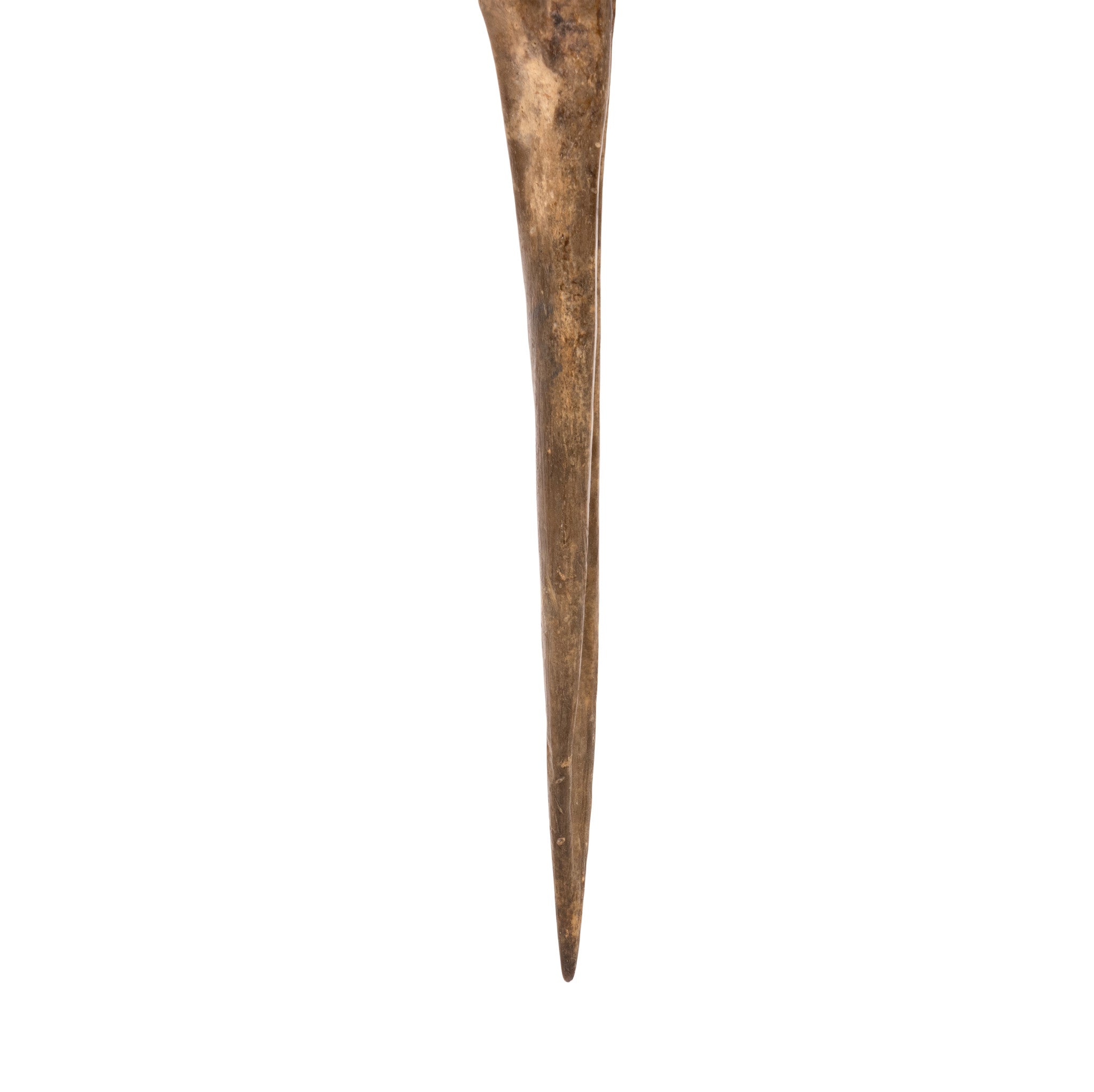 Oglala Sioux Wing Bone Awl
