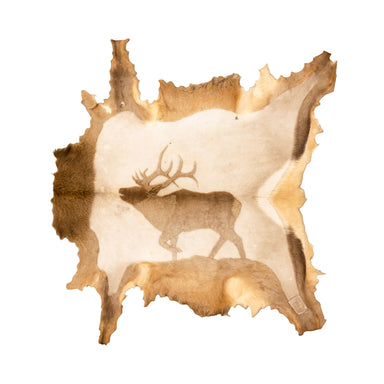 Spirit Hide by David Blake, Native, Accessory, Pictorial Hide