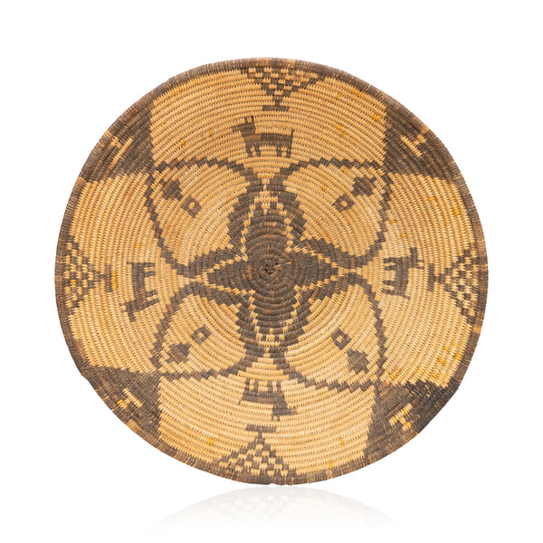 Apache Dog Pictorial Basket, Native, Basketry, Vertical