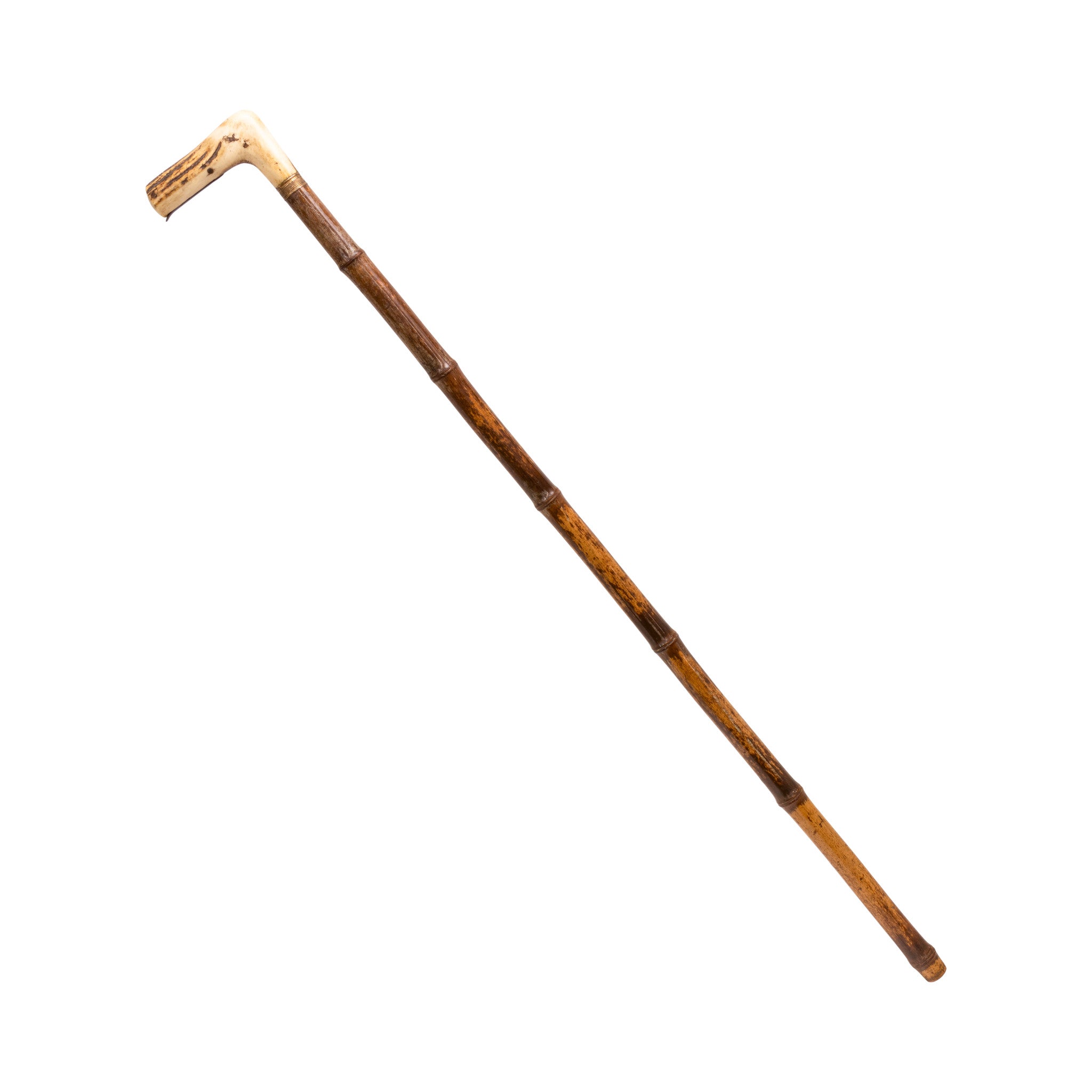 Stag Gun Cane