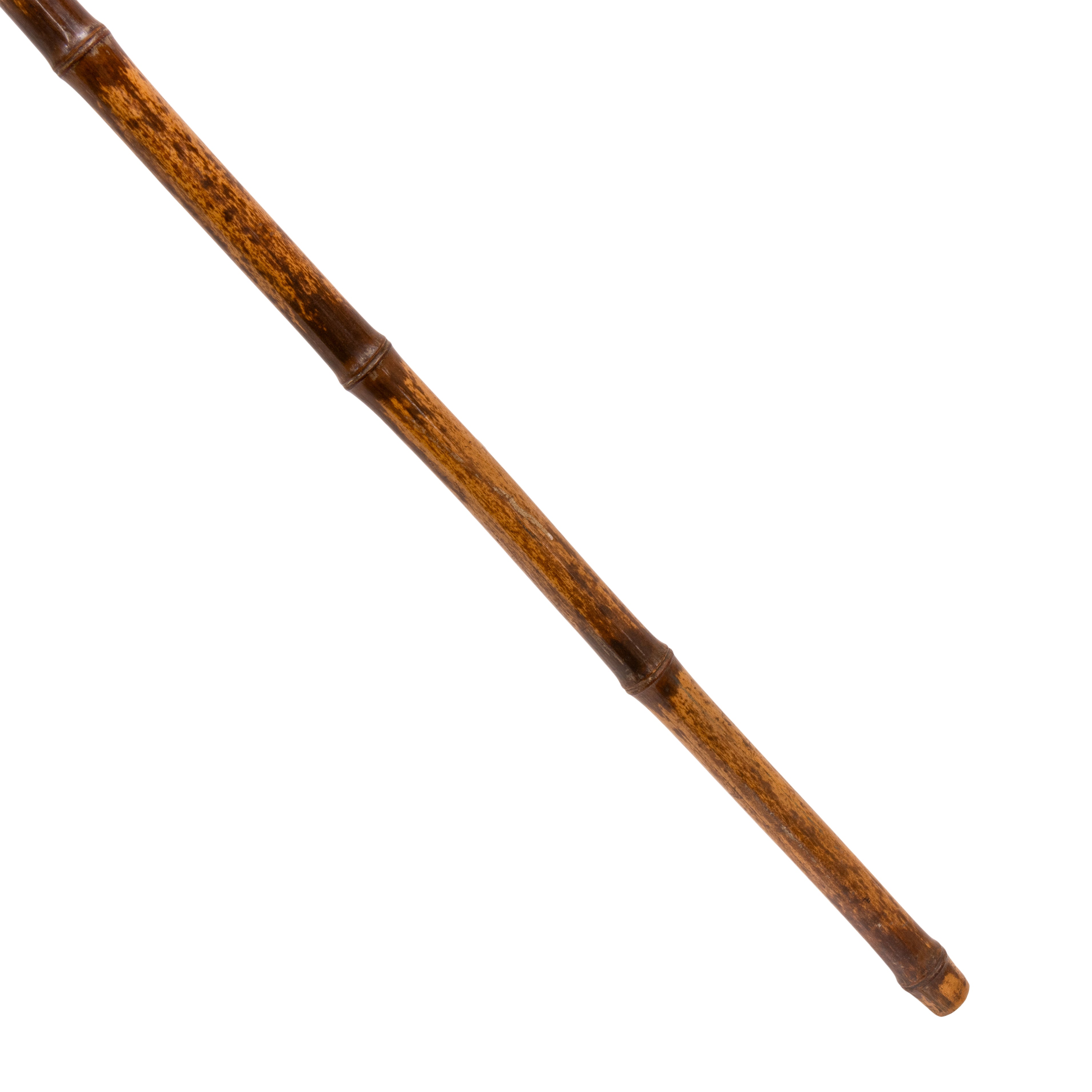 Stag Gun Cane
