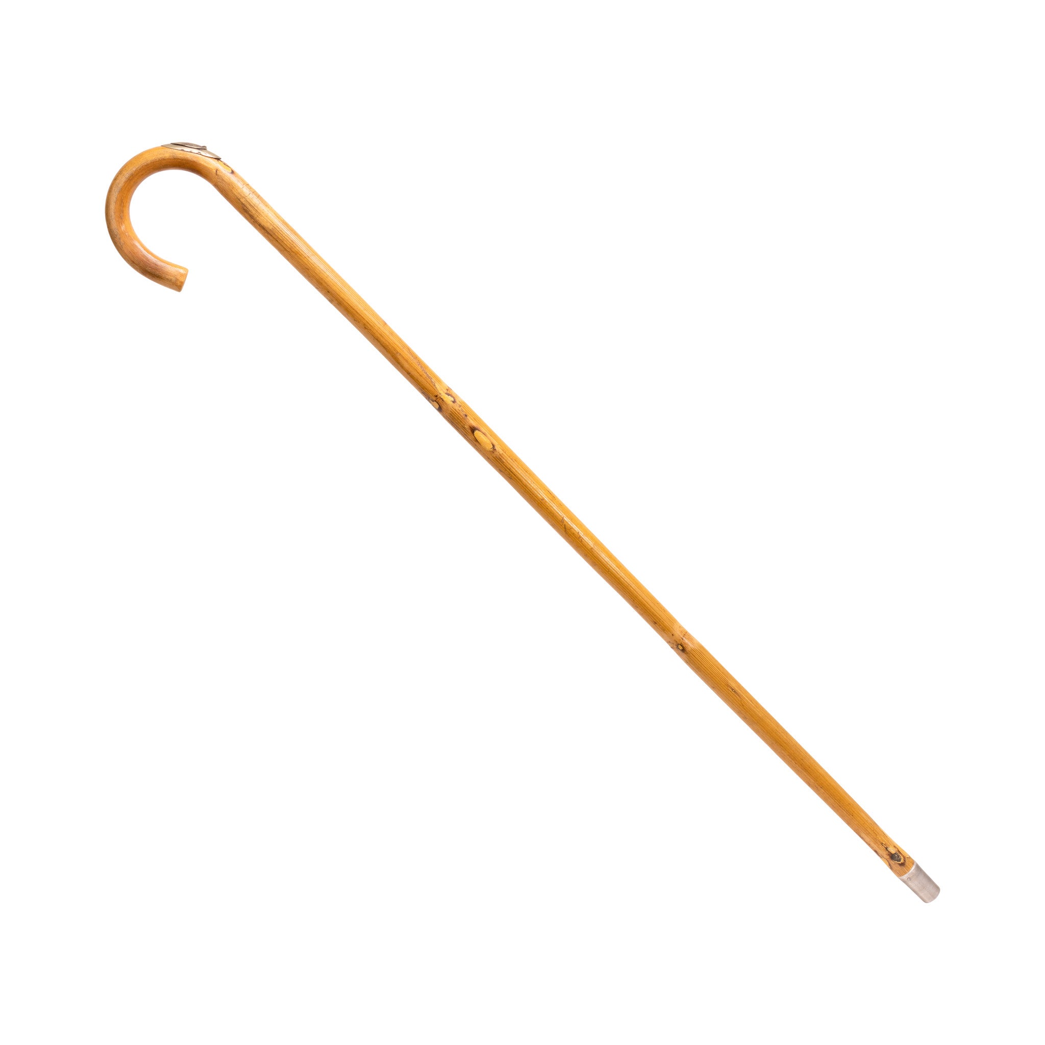 Horseman's Cane