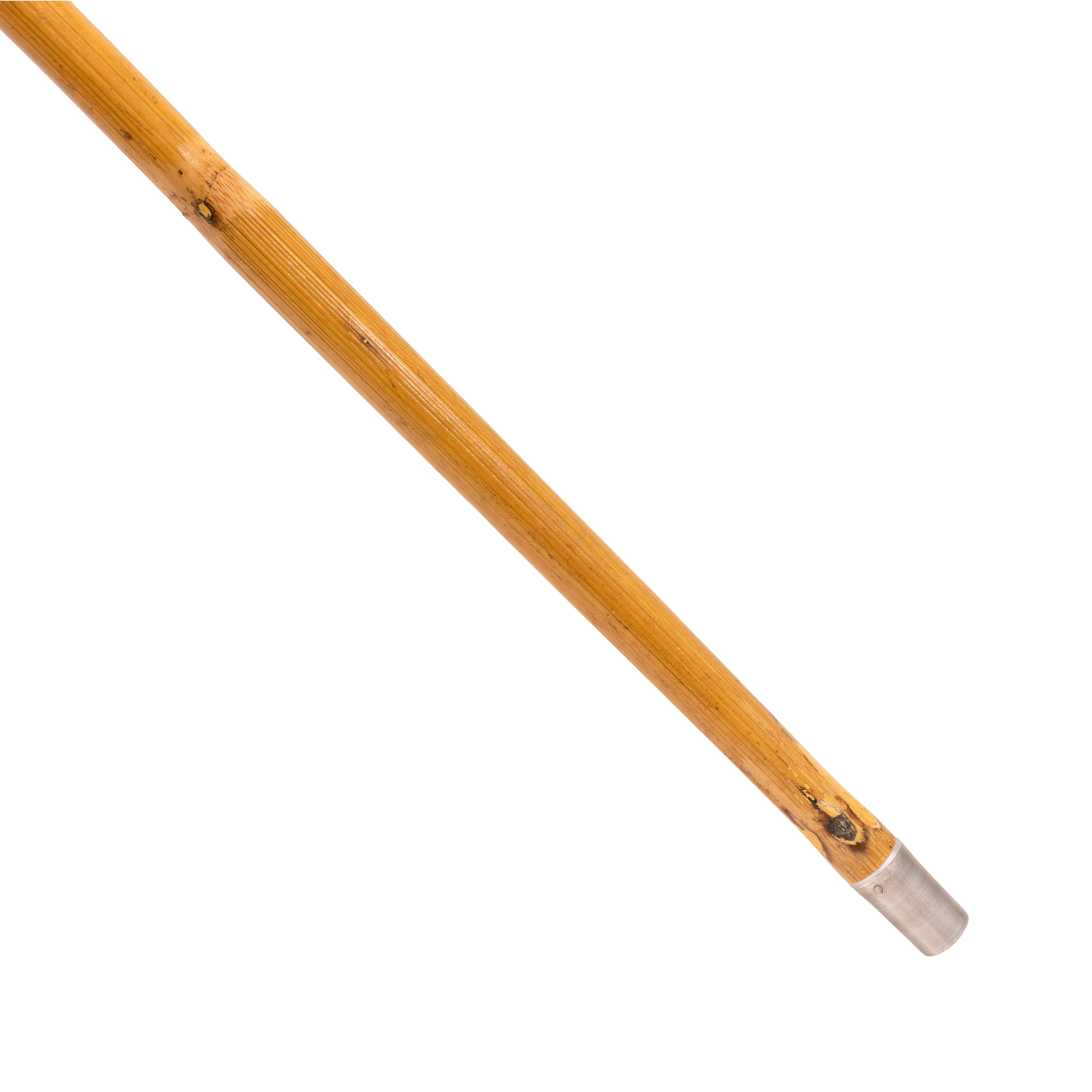 Horseman's Cane