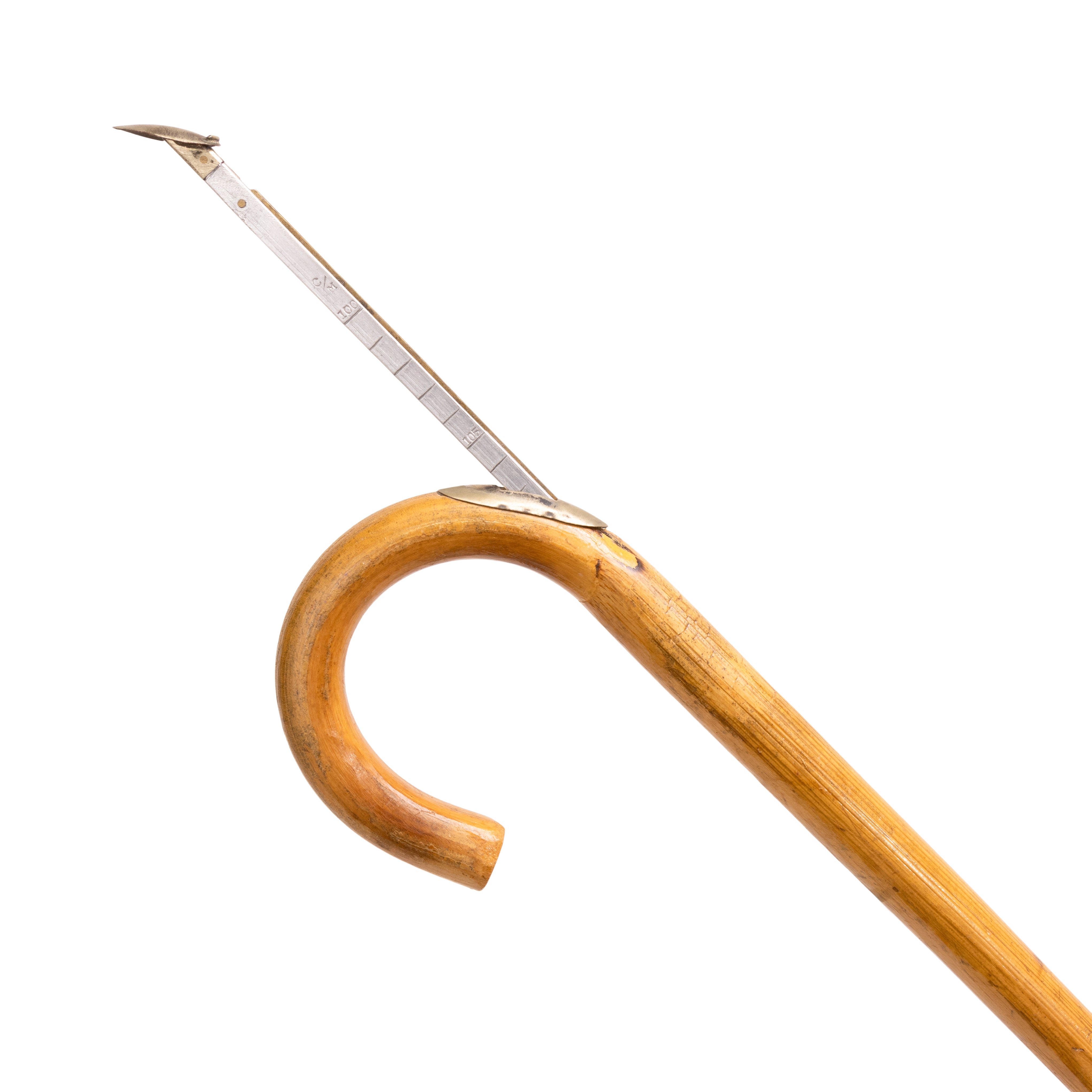 Horseman's Cane