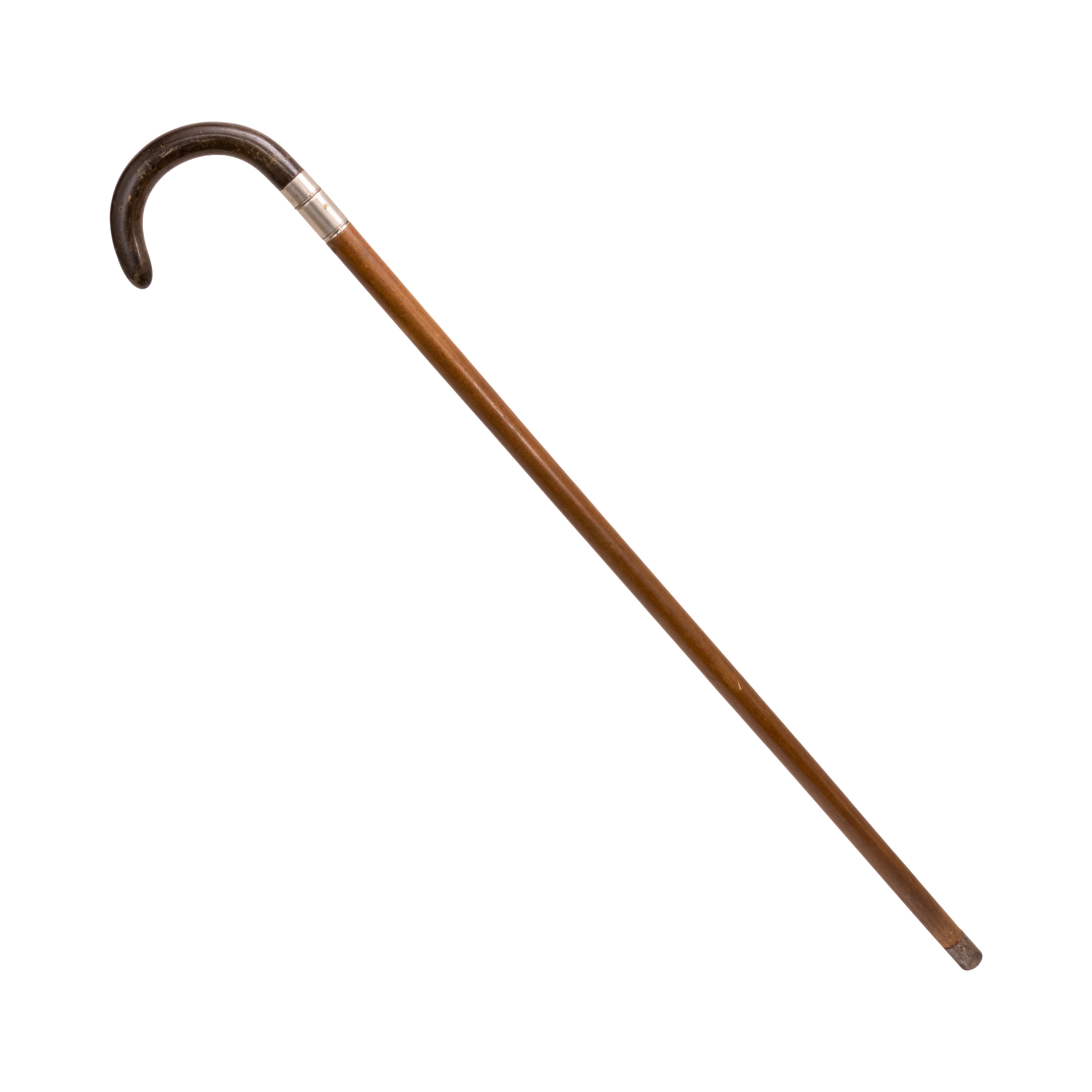Horse Cane