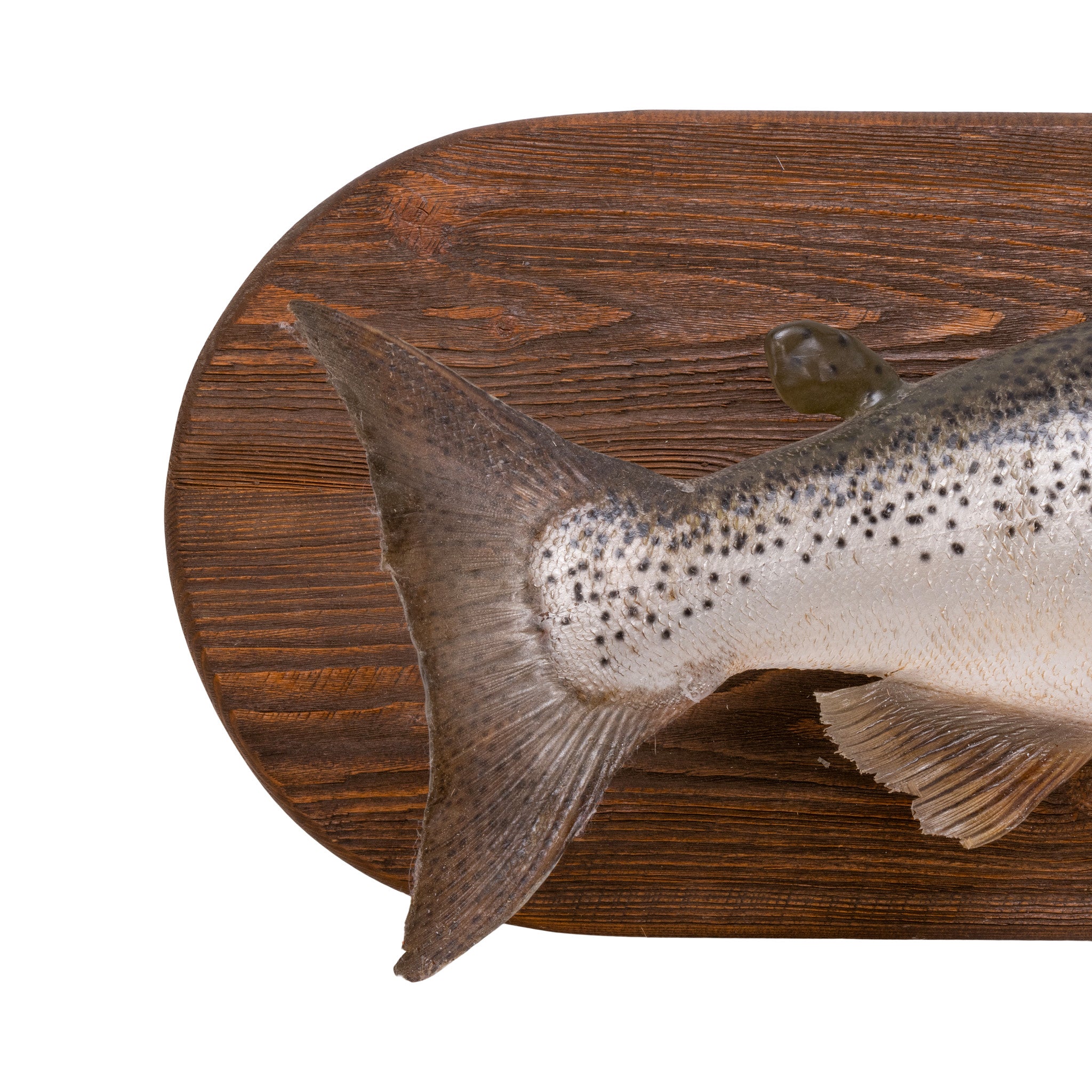 King Salmon Mount