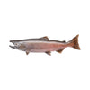 Chinook Salmon Skin Mount, Furnishings, Taxidermy, Fish