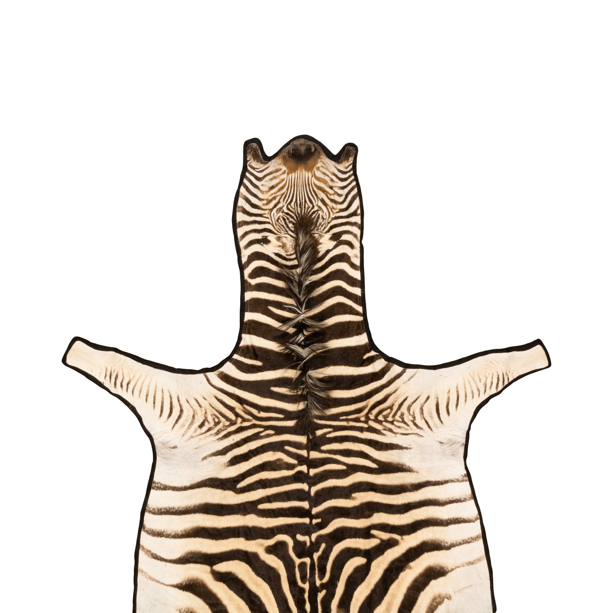 A Grade Zebra Rug