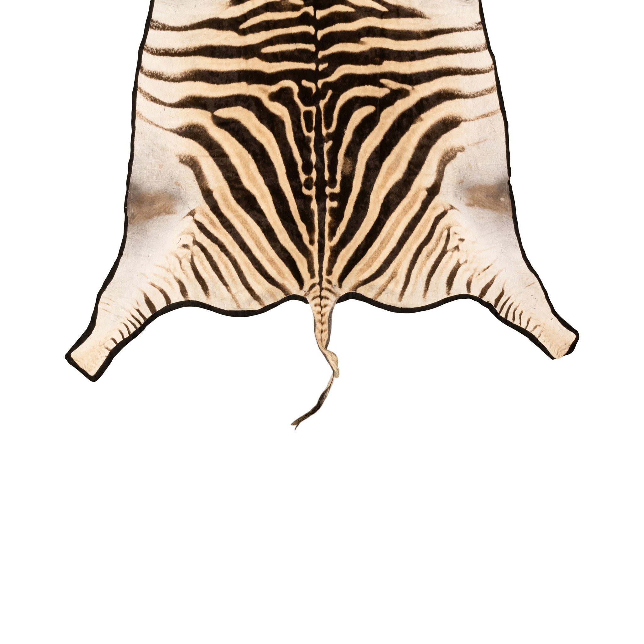 A Grade Zebra Rug