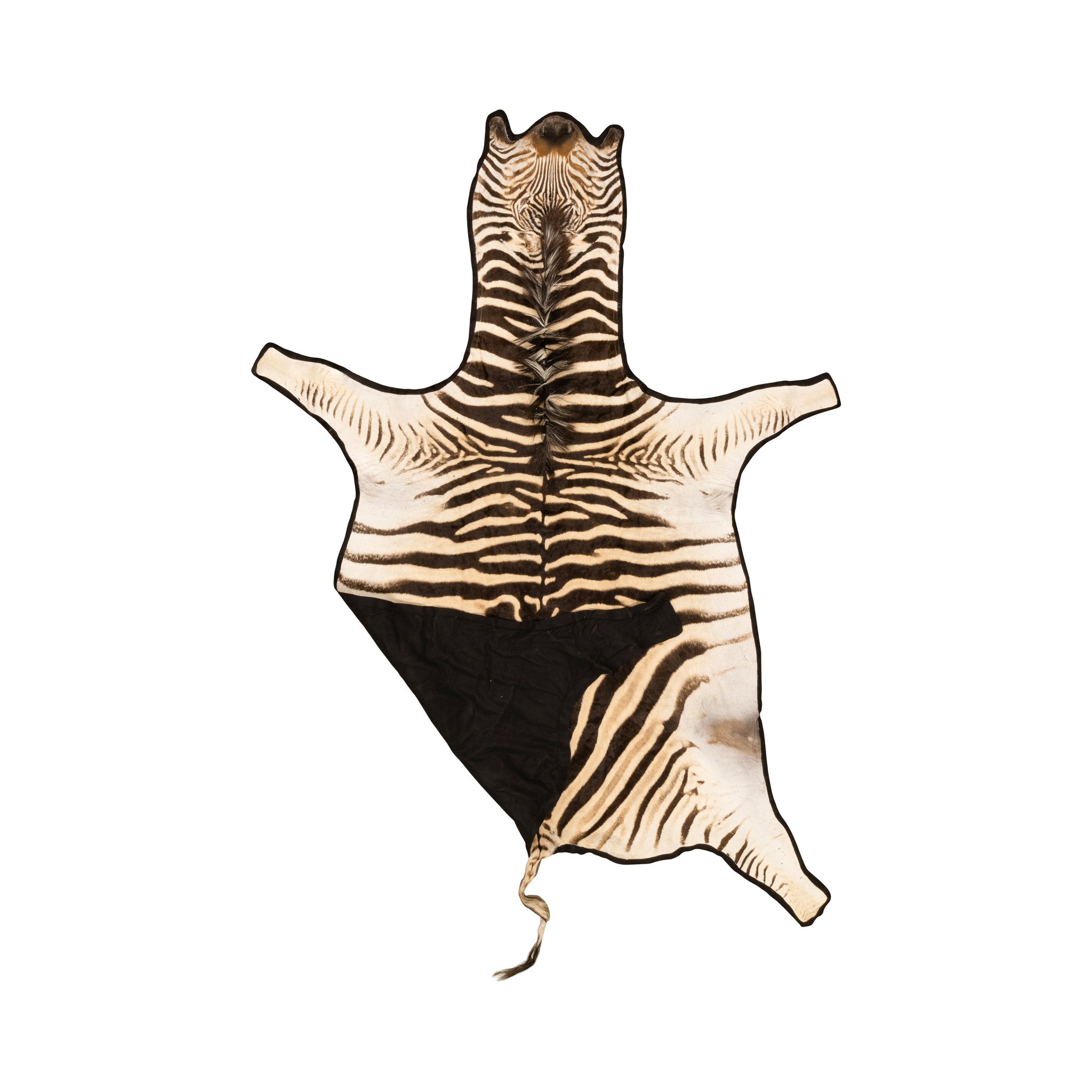 A Grade Zebra Rug