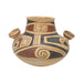Rare Casas Grandes Ramos Olla, Native, Pottery, Prehistoric