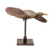 Flying Duck Decoy, Sporting Goods, Hunting, Waterfowl Decoy