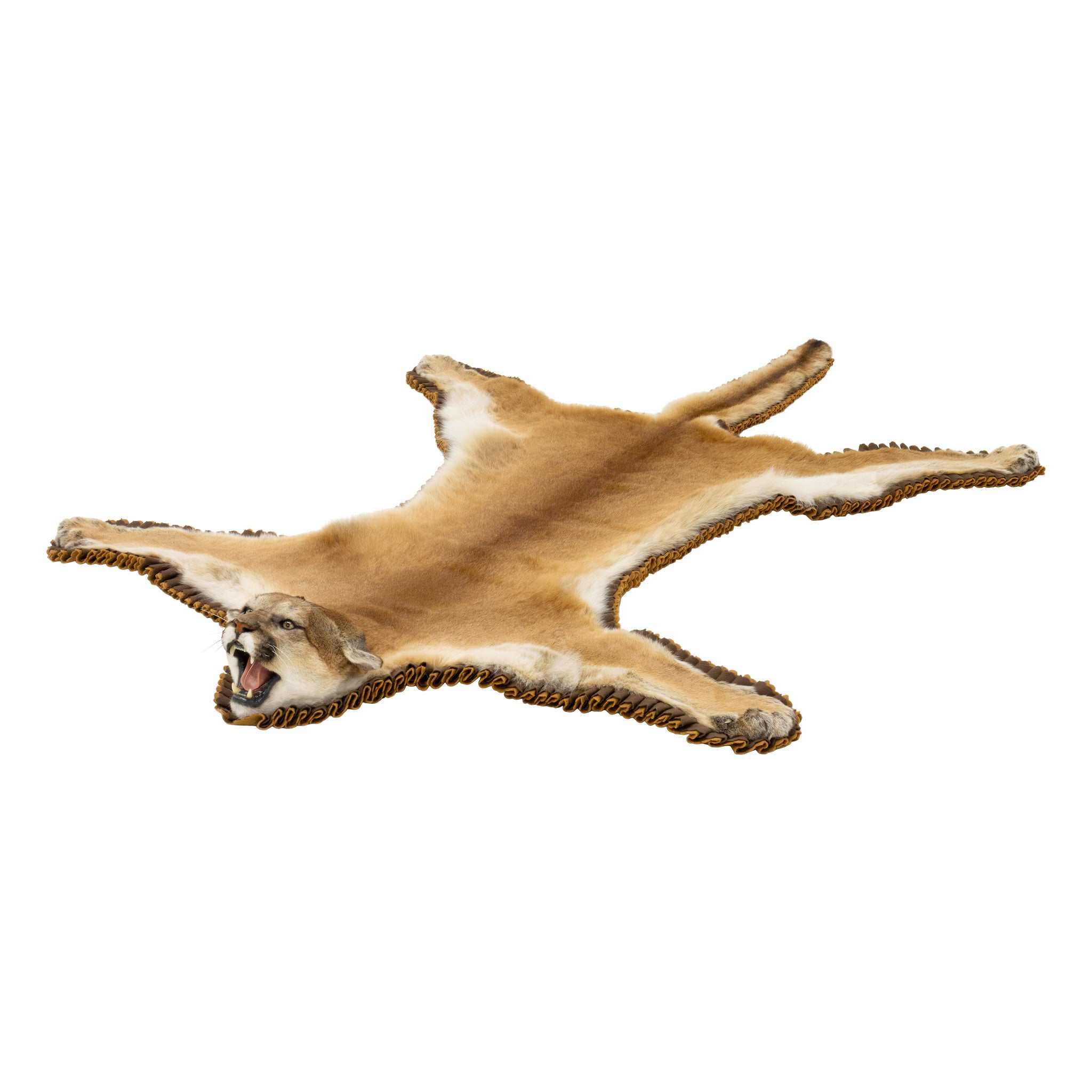 Idaho Cougar Rug, Furnishings, Taxidermy, Cougar
