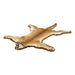 Idaho Cougar Rug, Furnishings, Taxidermy, Cougar