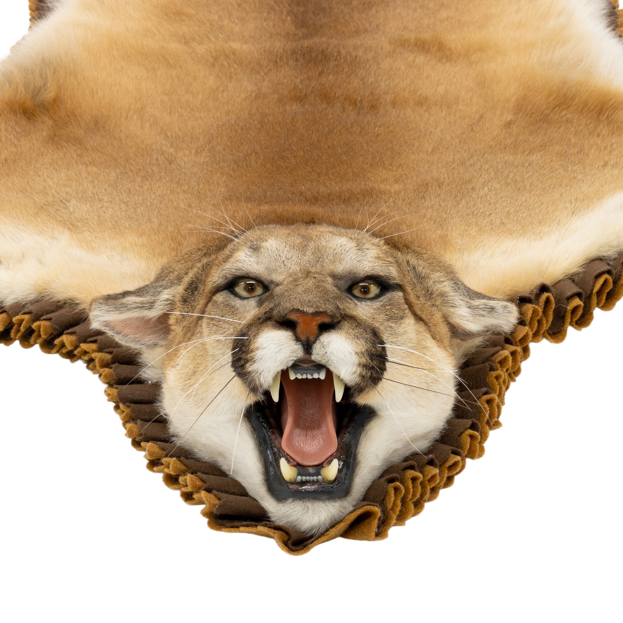 Idaho Cougar Rug