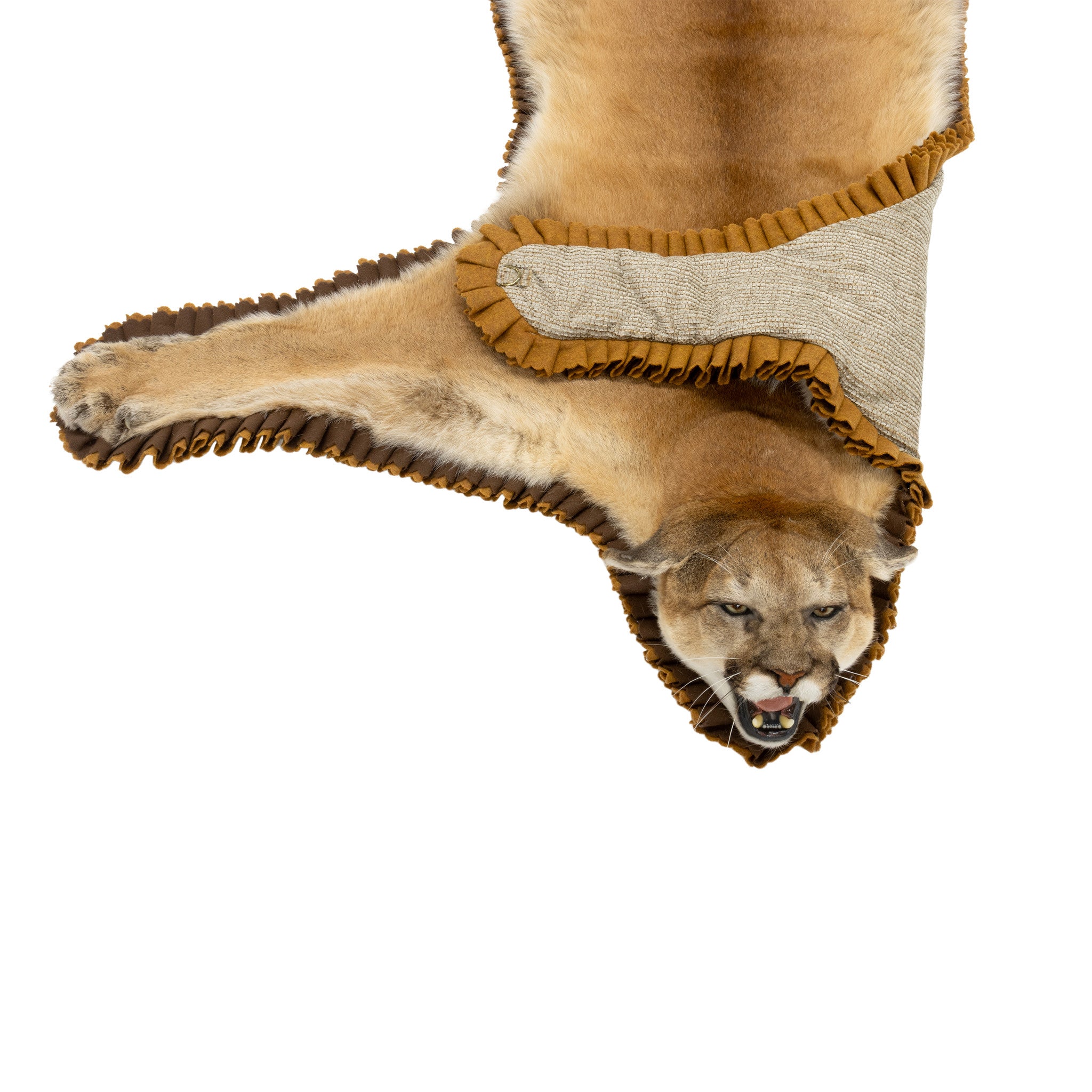Idaho Cougar Rug