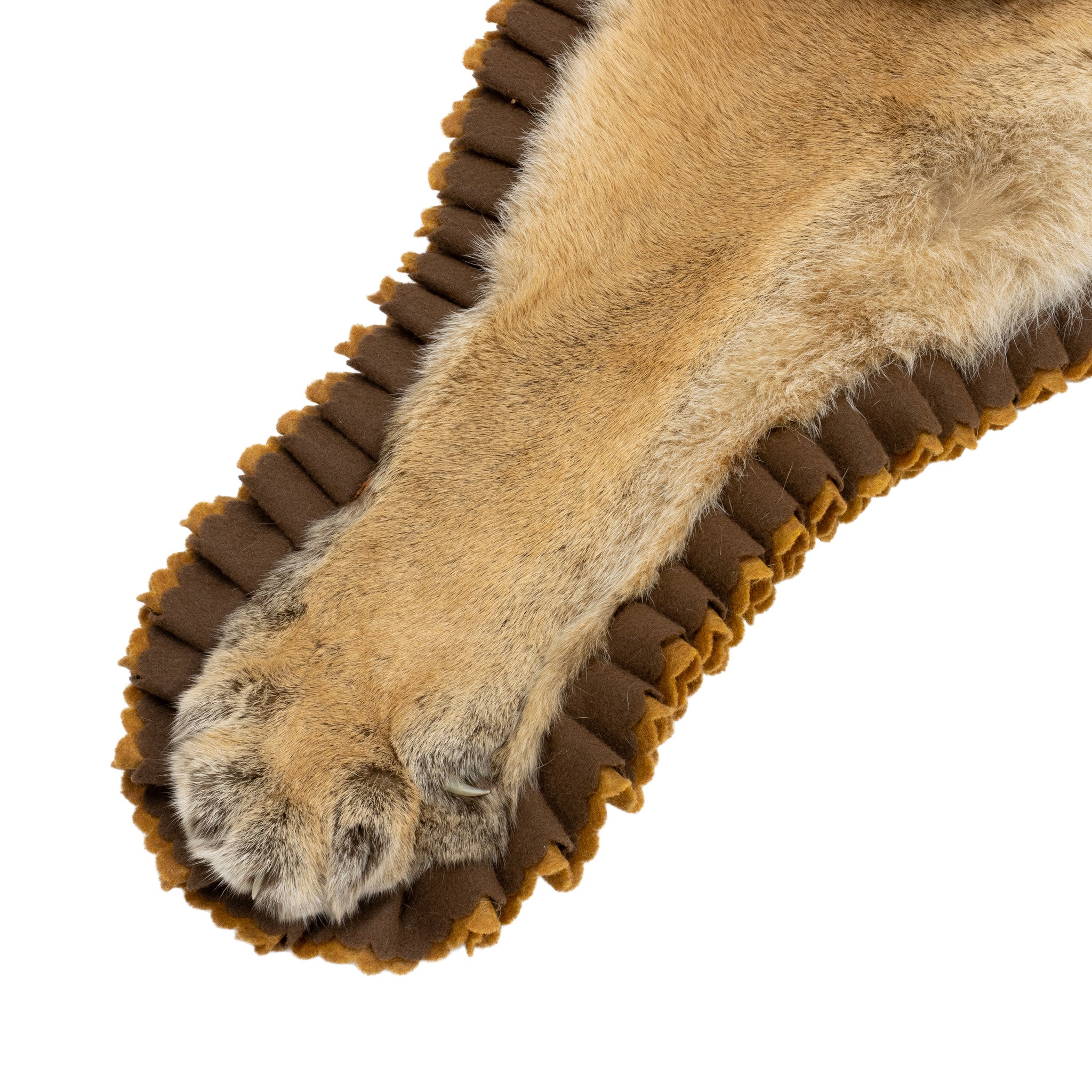 Idaho Cougar Rug