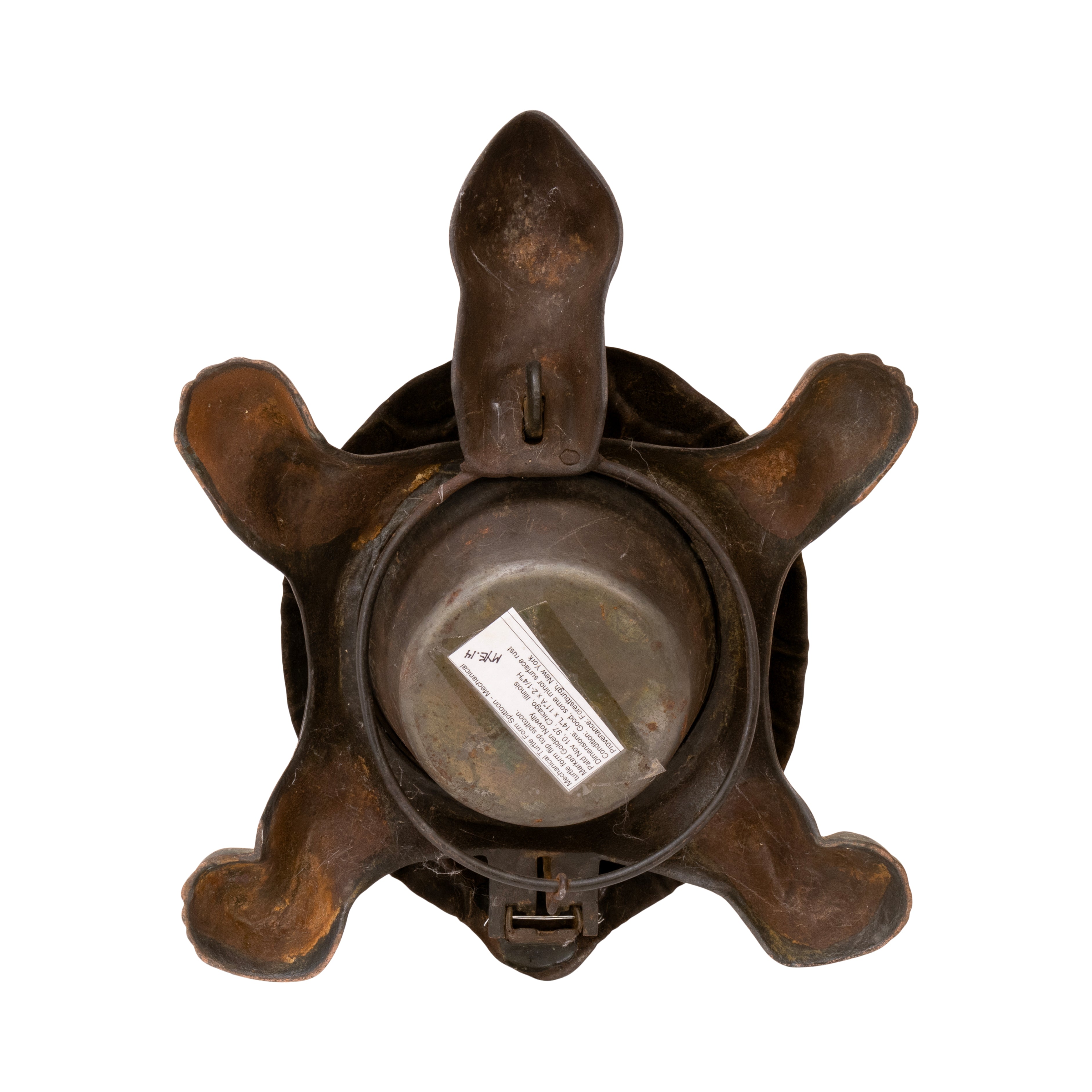 Turtle Spittoon