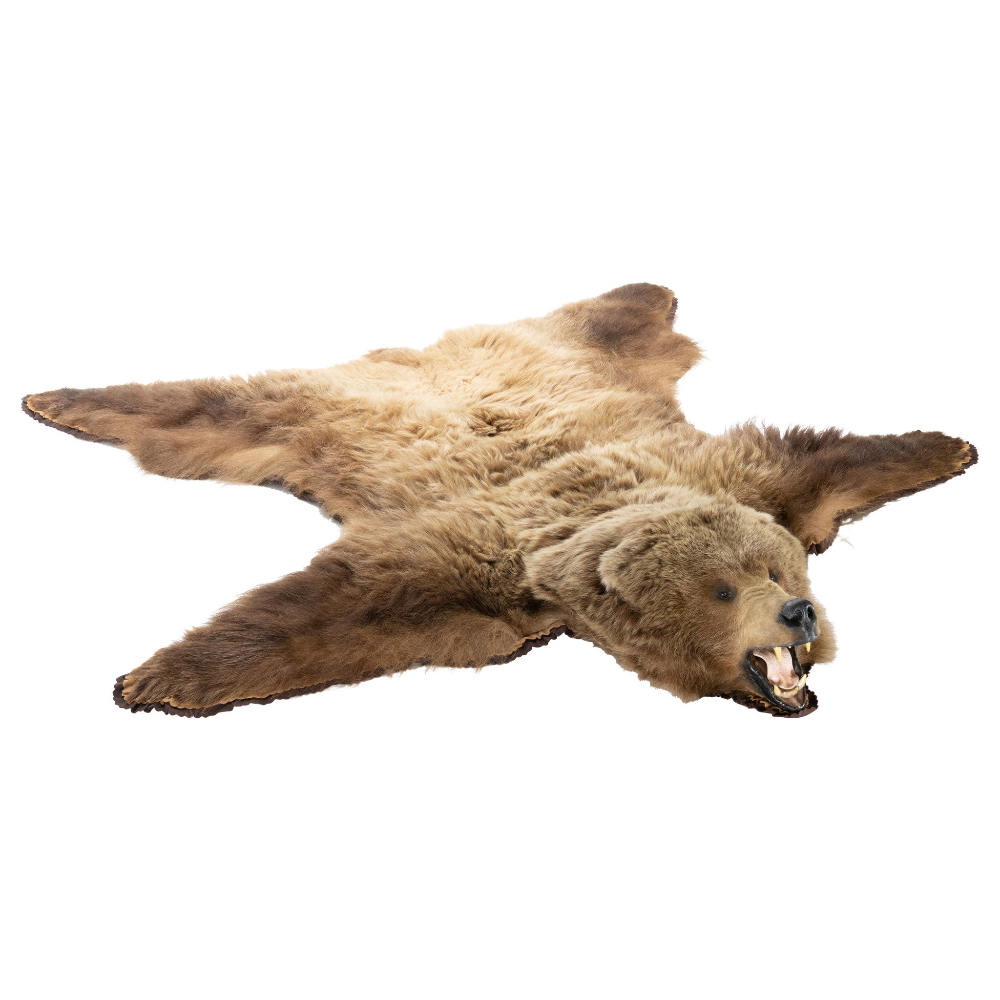 Brown Bear Rug, Furnishings, Taxidermy, Bear