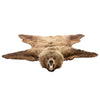 Brown Bear Rug