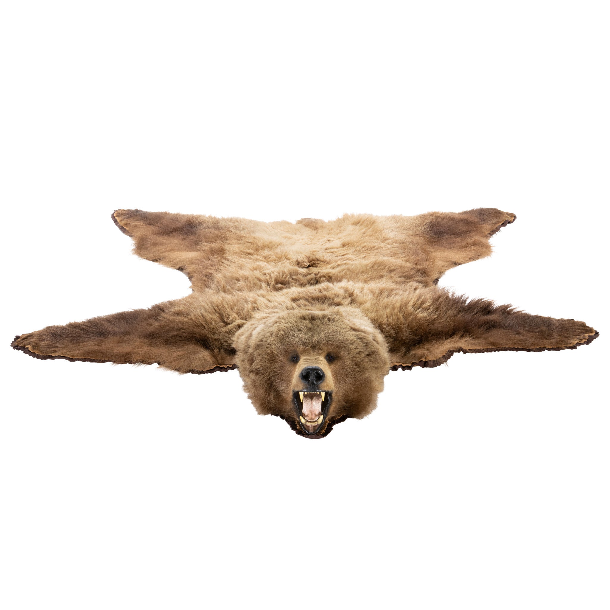 Brown Bear Rug