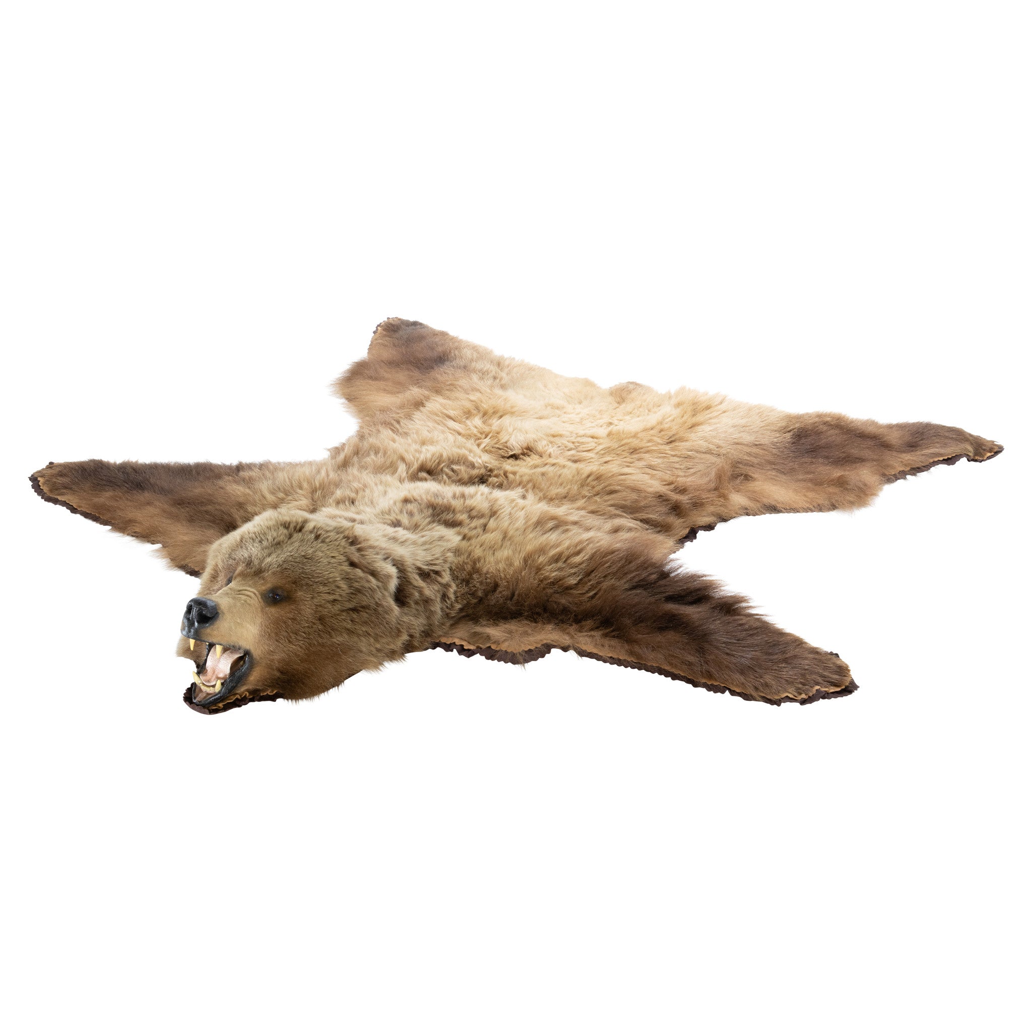 Brown Bear Rug
