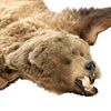 Brown Bear Rug