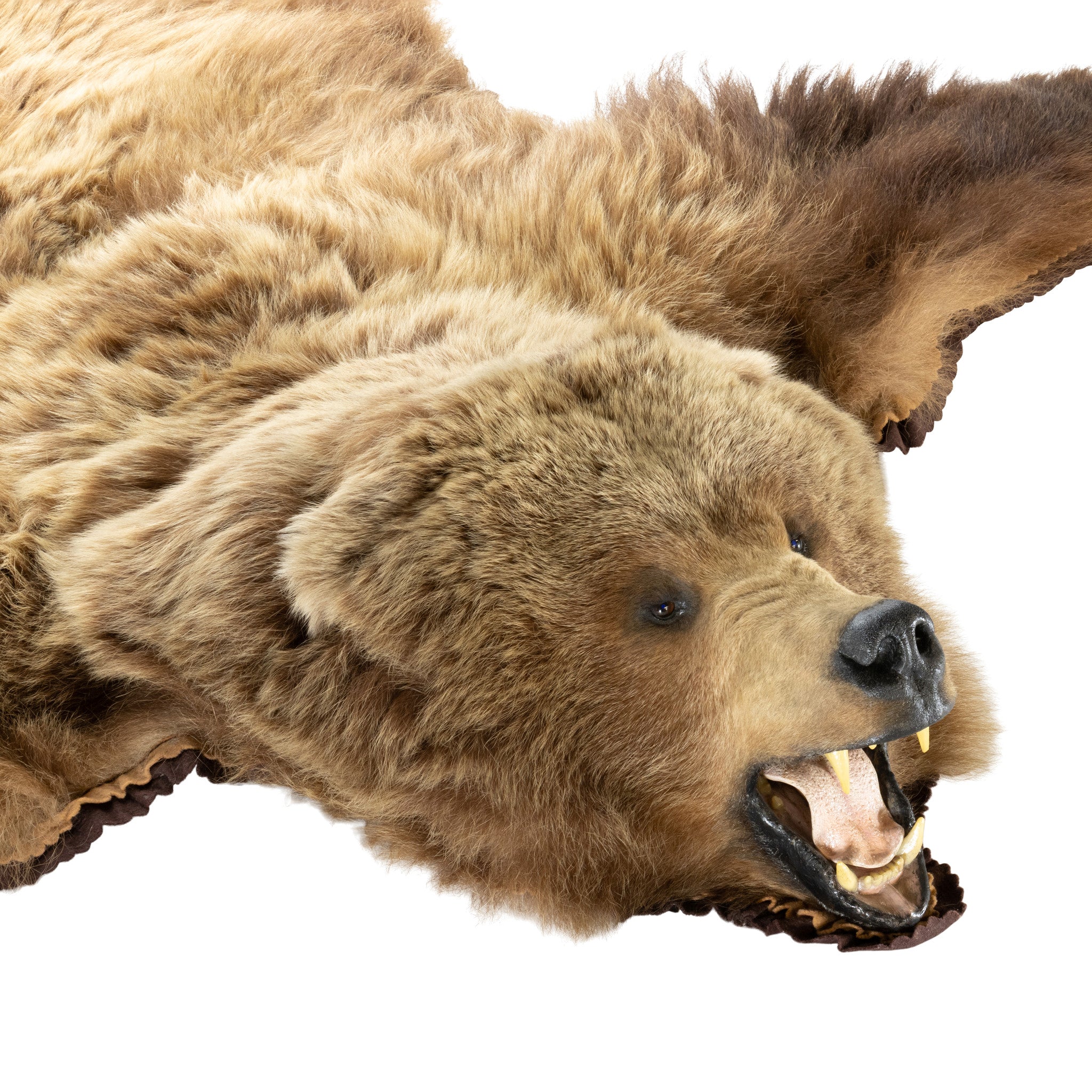 Brown Bear Rug