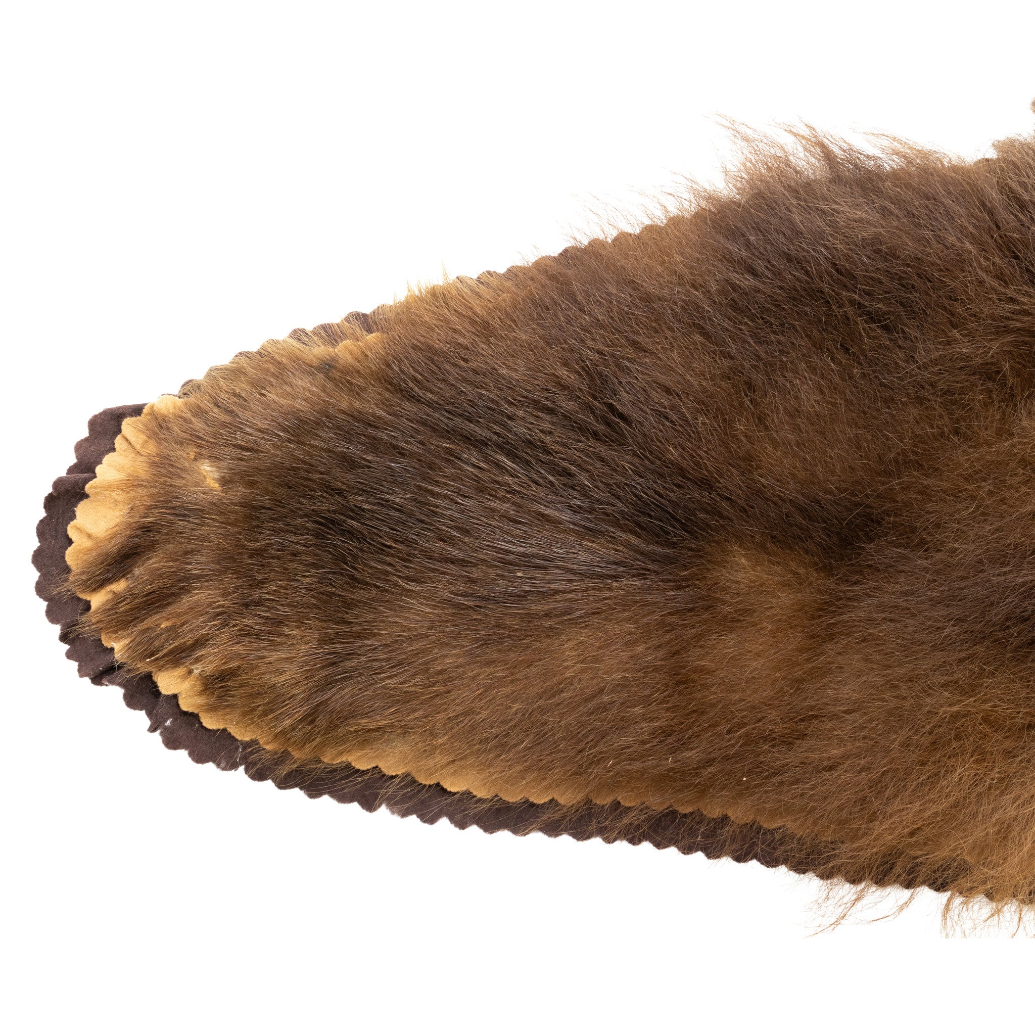 Brown Bear Rug