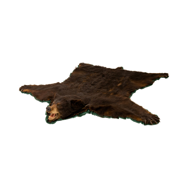 Large Black Bear Rug, Furnishings, Taxidermy, Bear