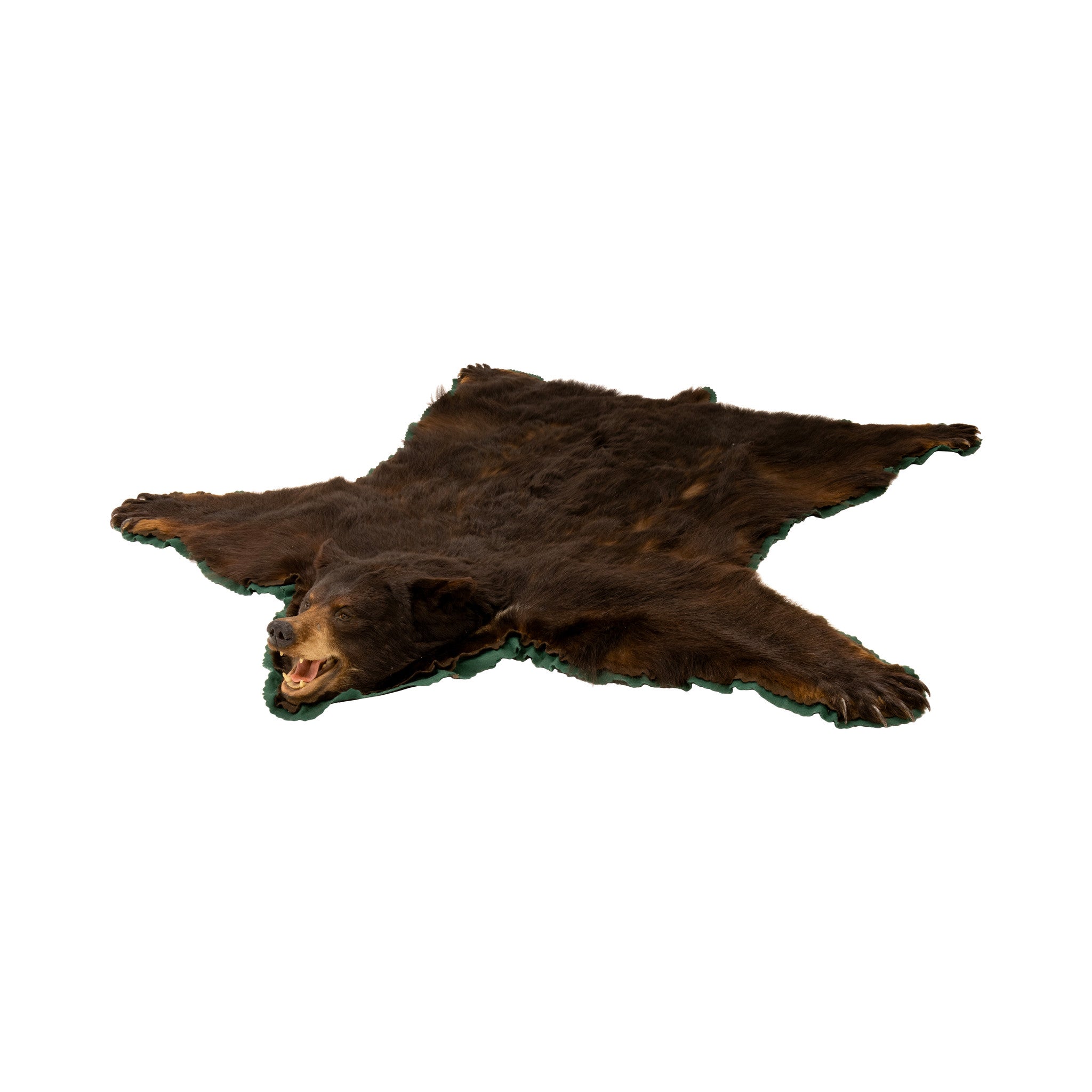 Large Black Bear Rug, Furnishings, Taxidermy, Bear