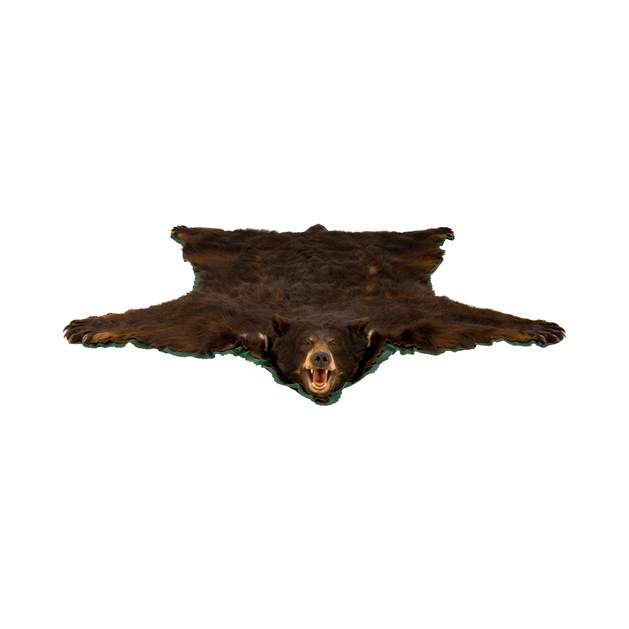 Large Black Bear Rug