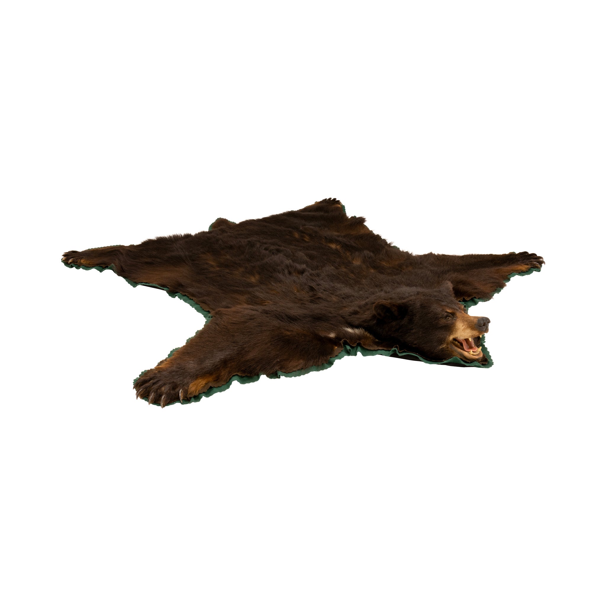 Large Black Bear Rug