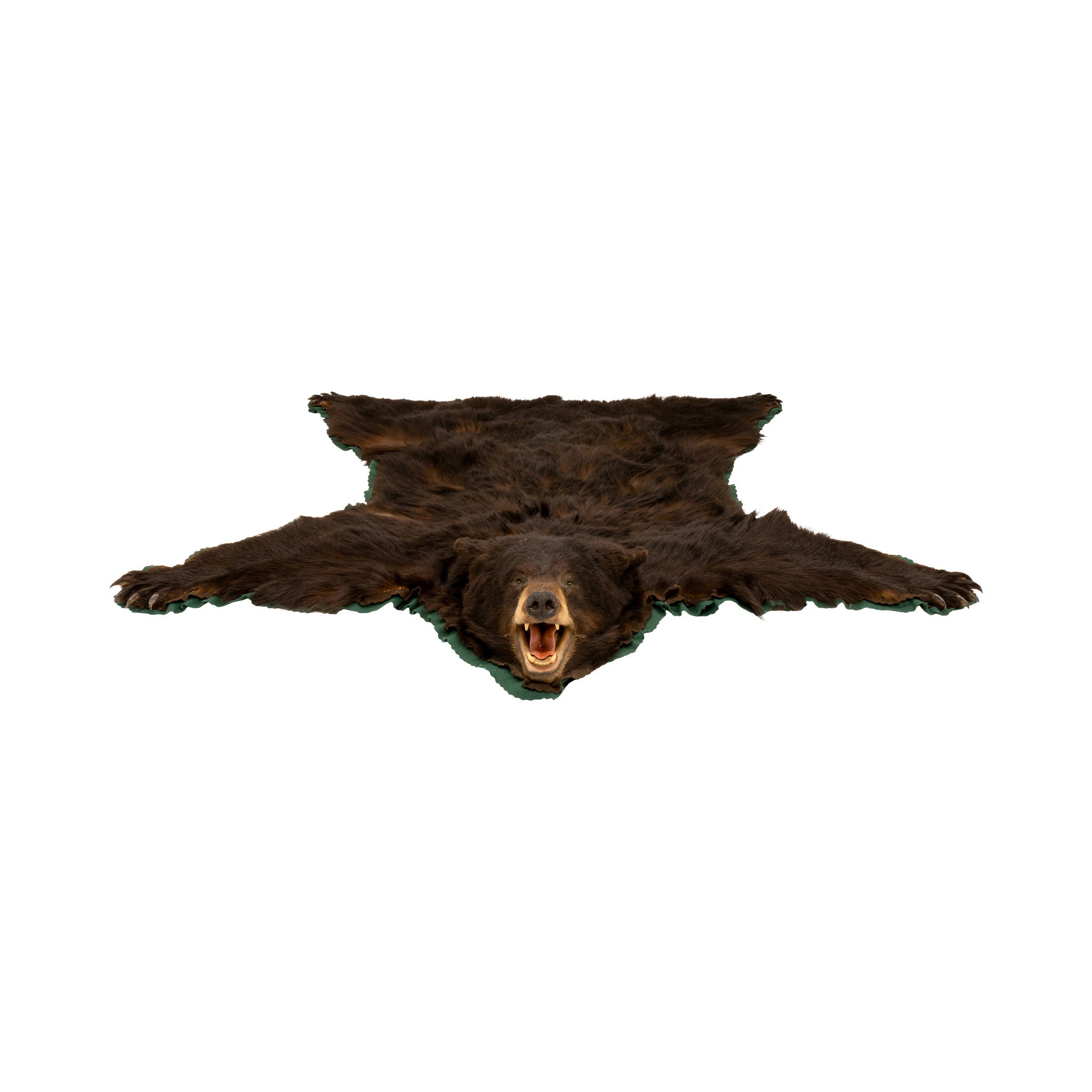 Large Black Bear Rug