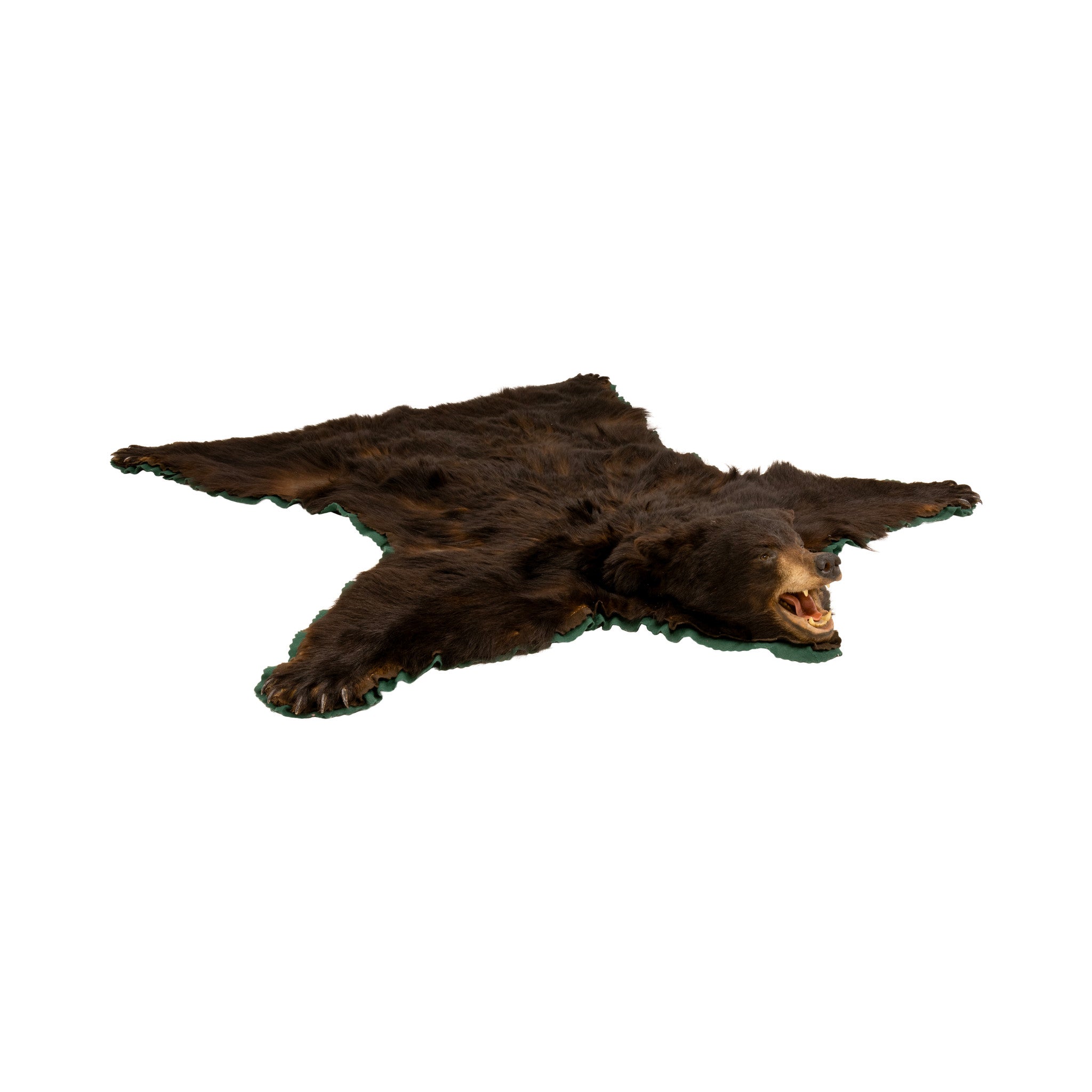 Large Black Bear Rug