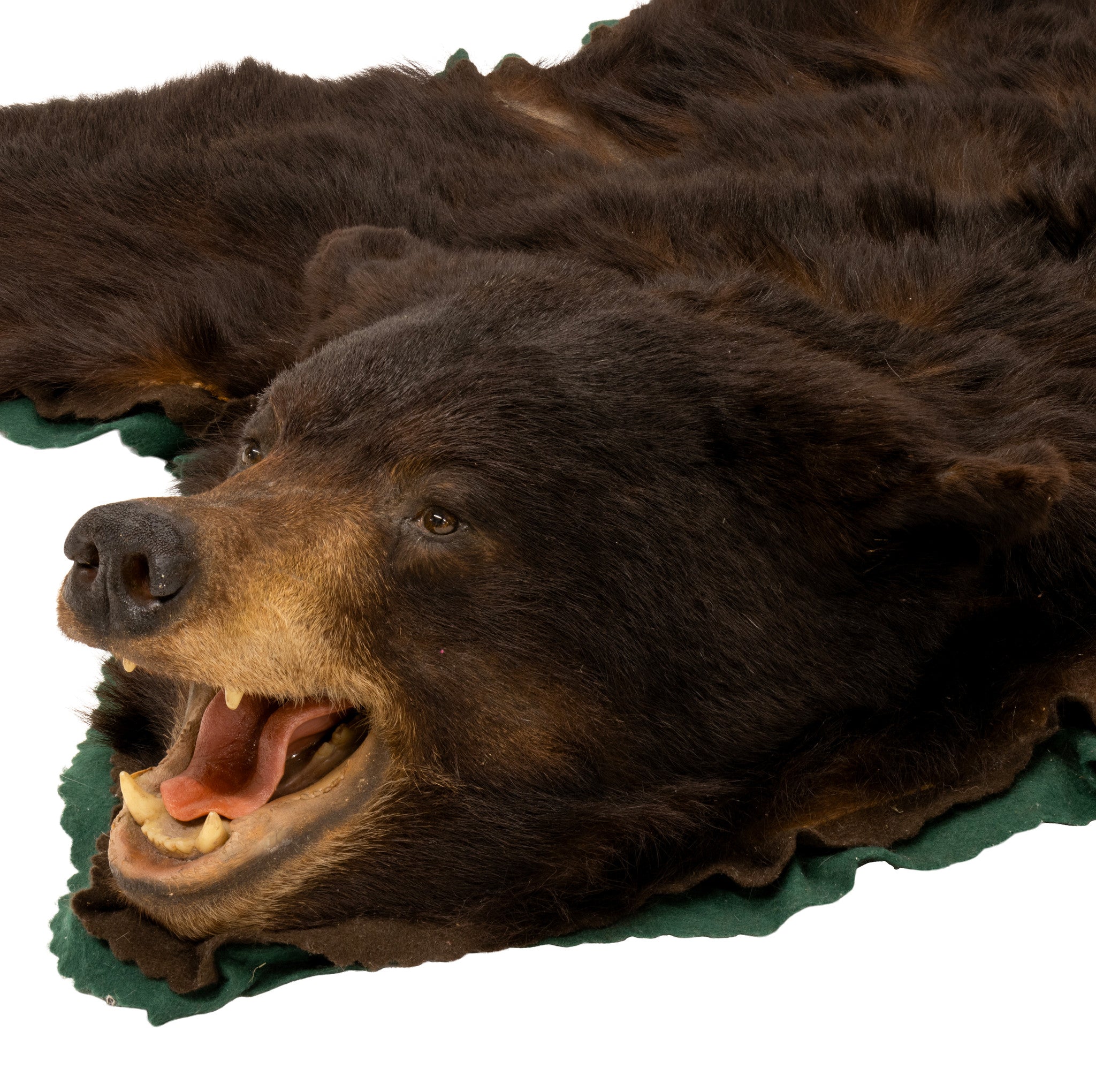 Large Black Bear Rug