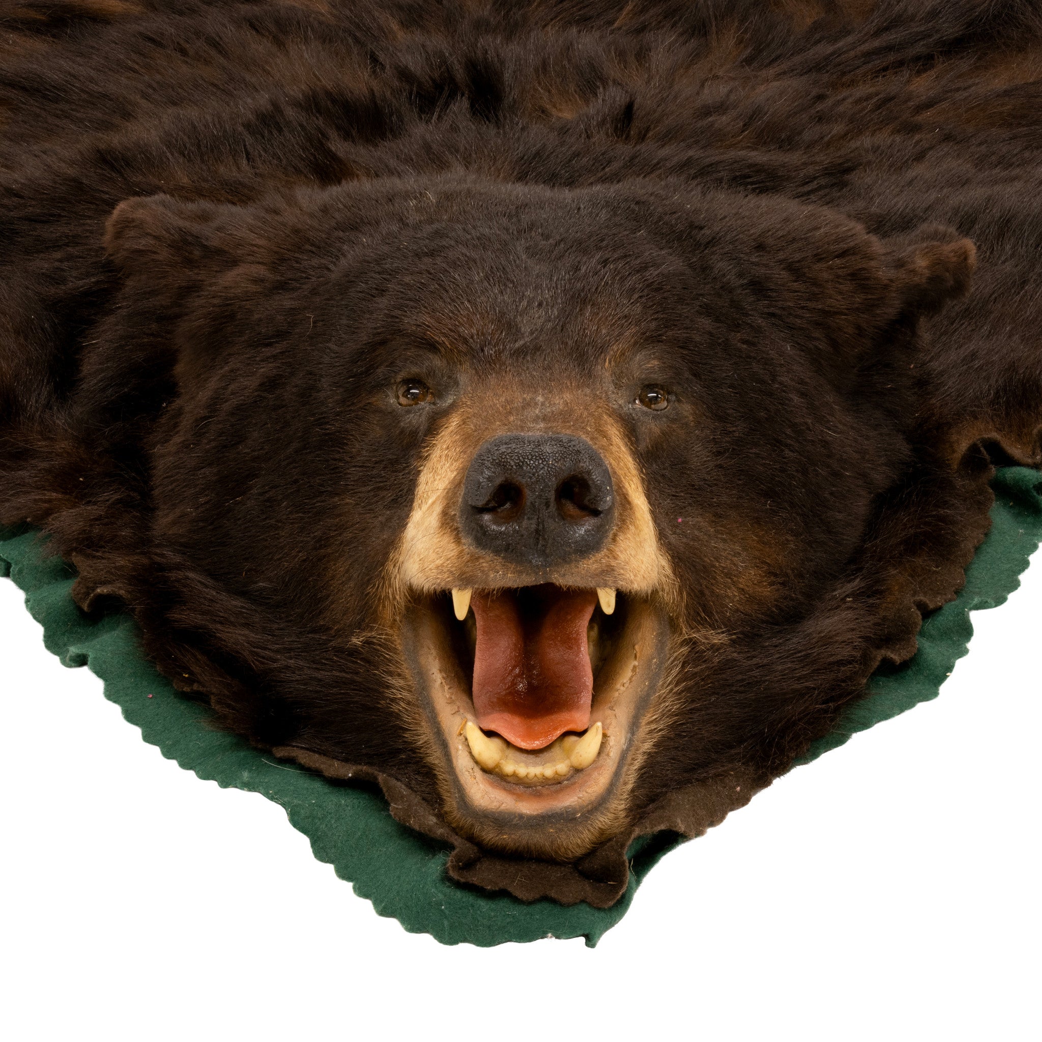Large Black Bear Rug