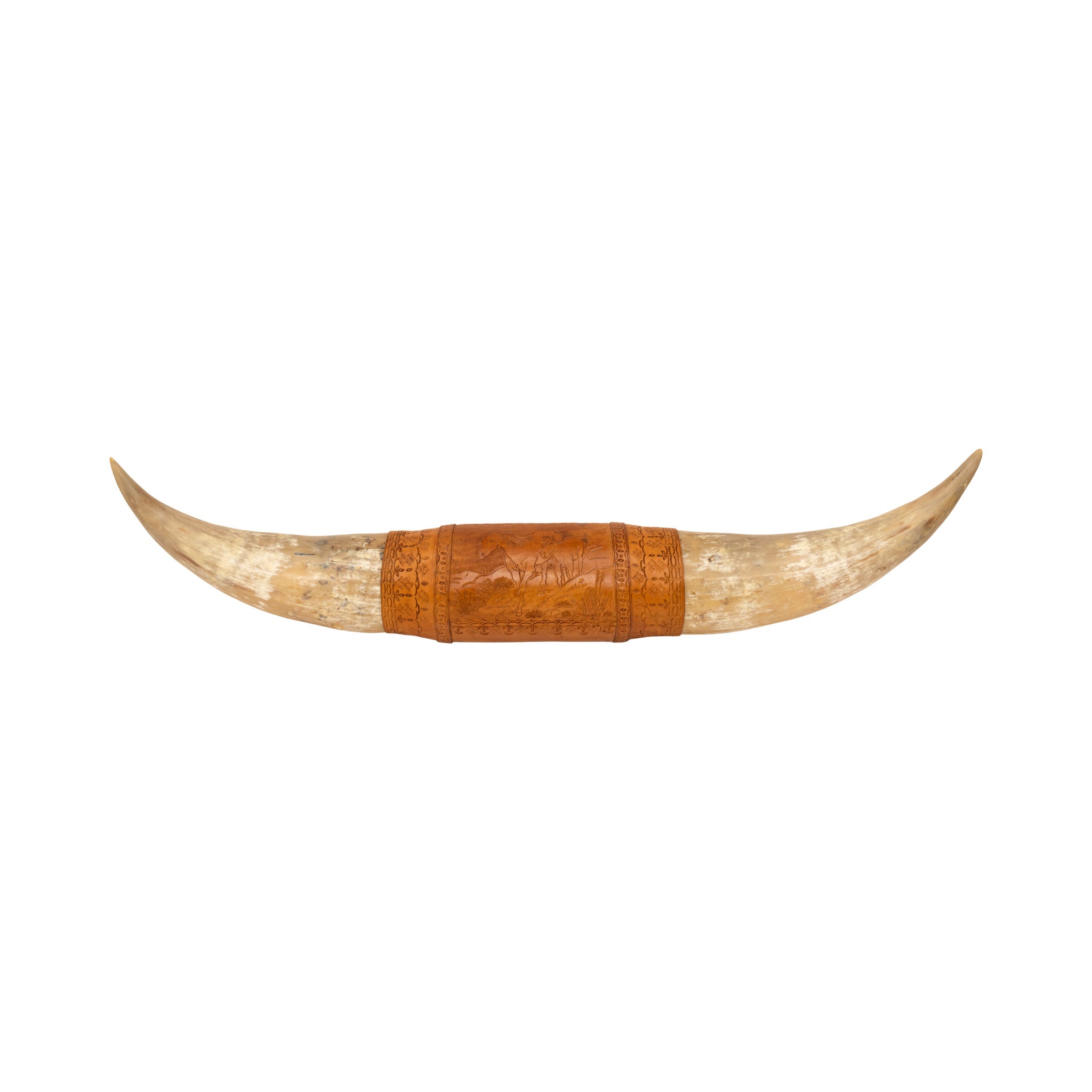 Massive Bull Horns, Furnishings, Taxidermy, Other