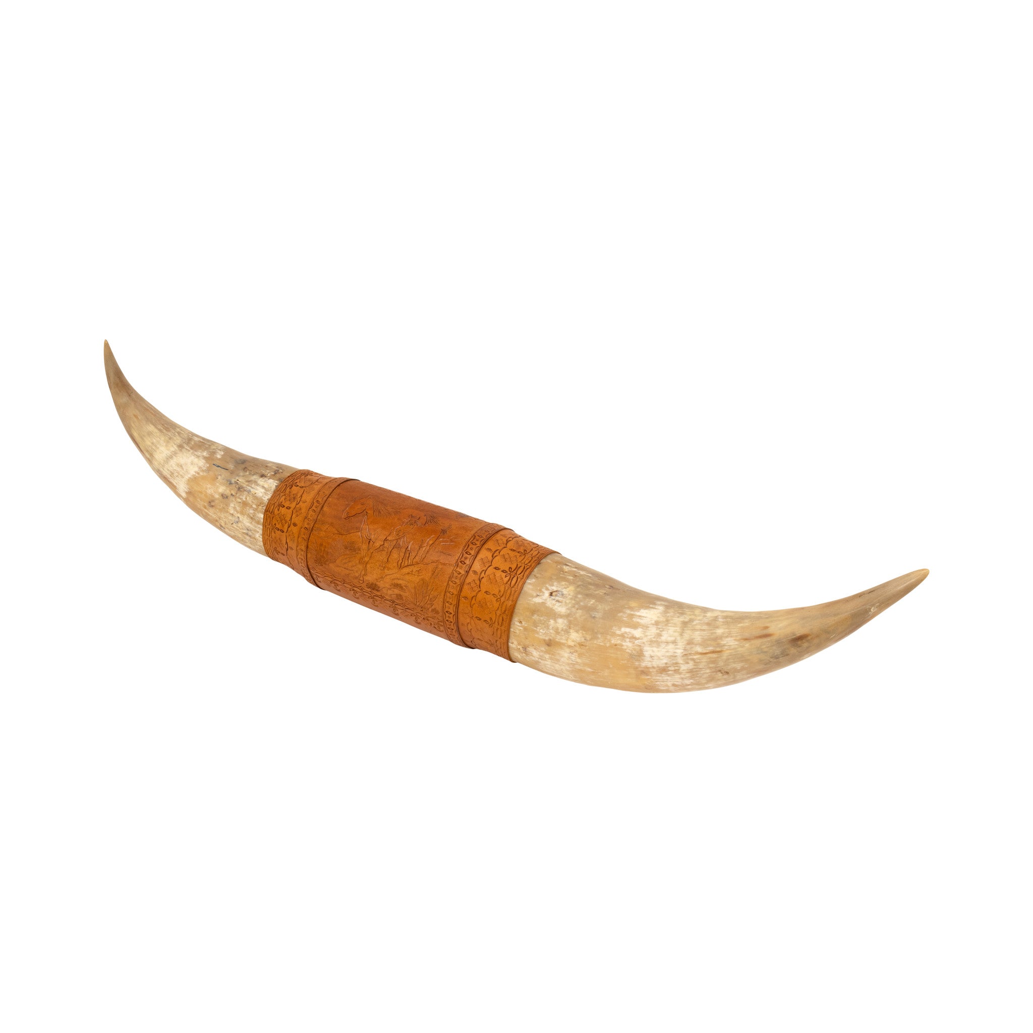 Massive Bull Horns