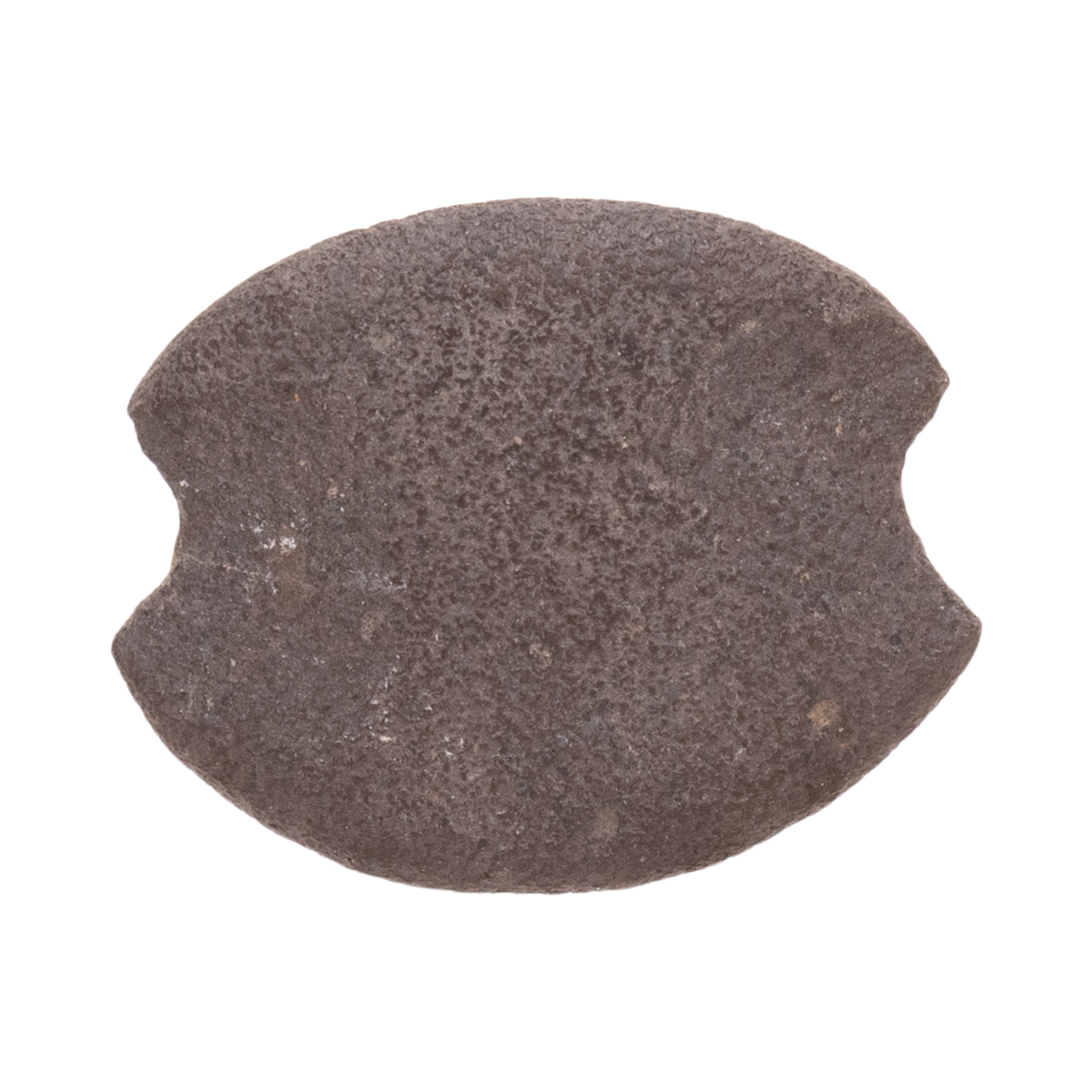 Columbia River Fish Weights