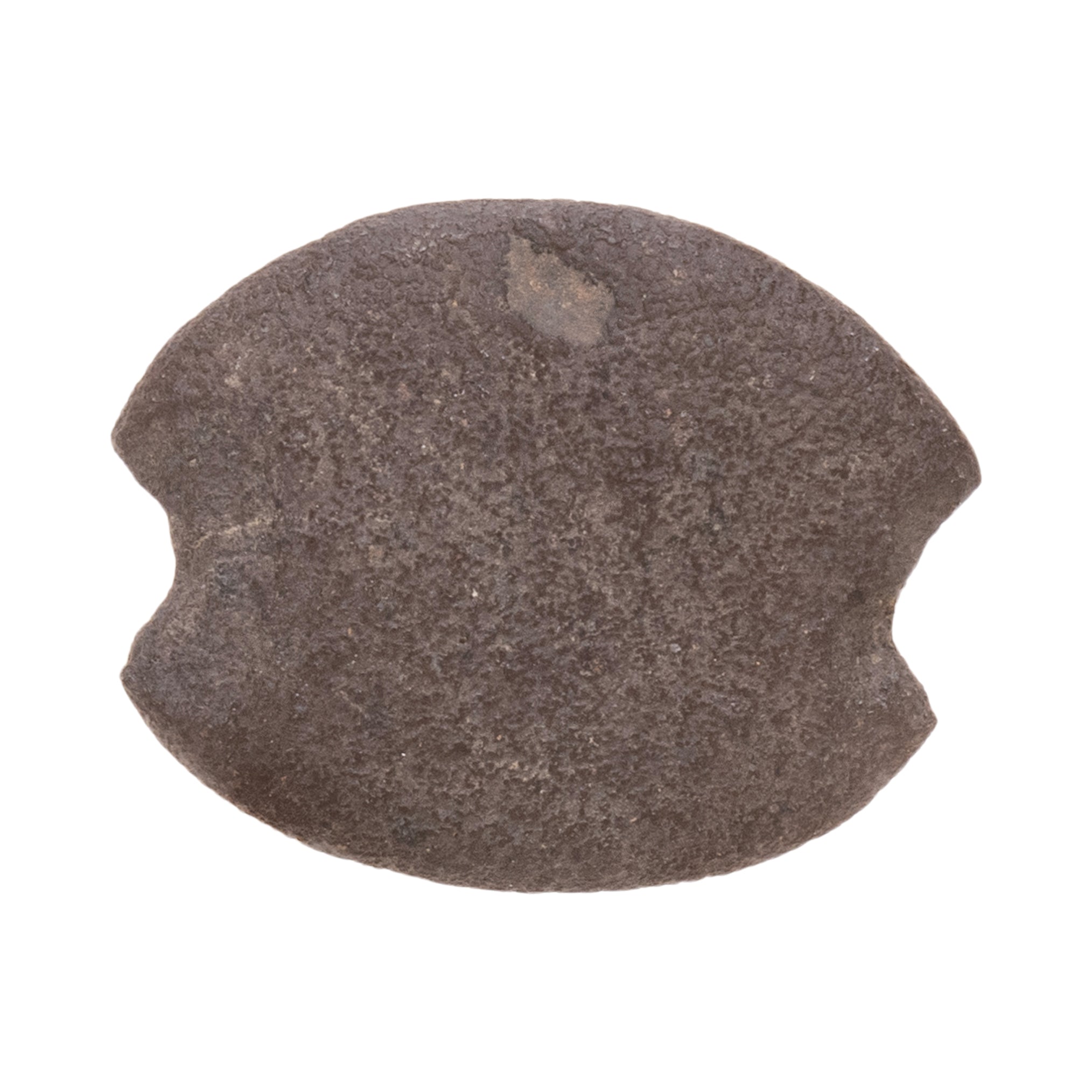 Columbia River Fish Weights