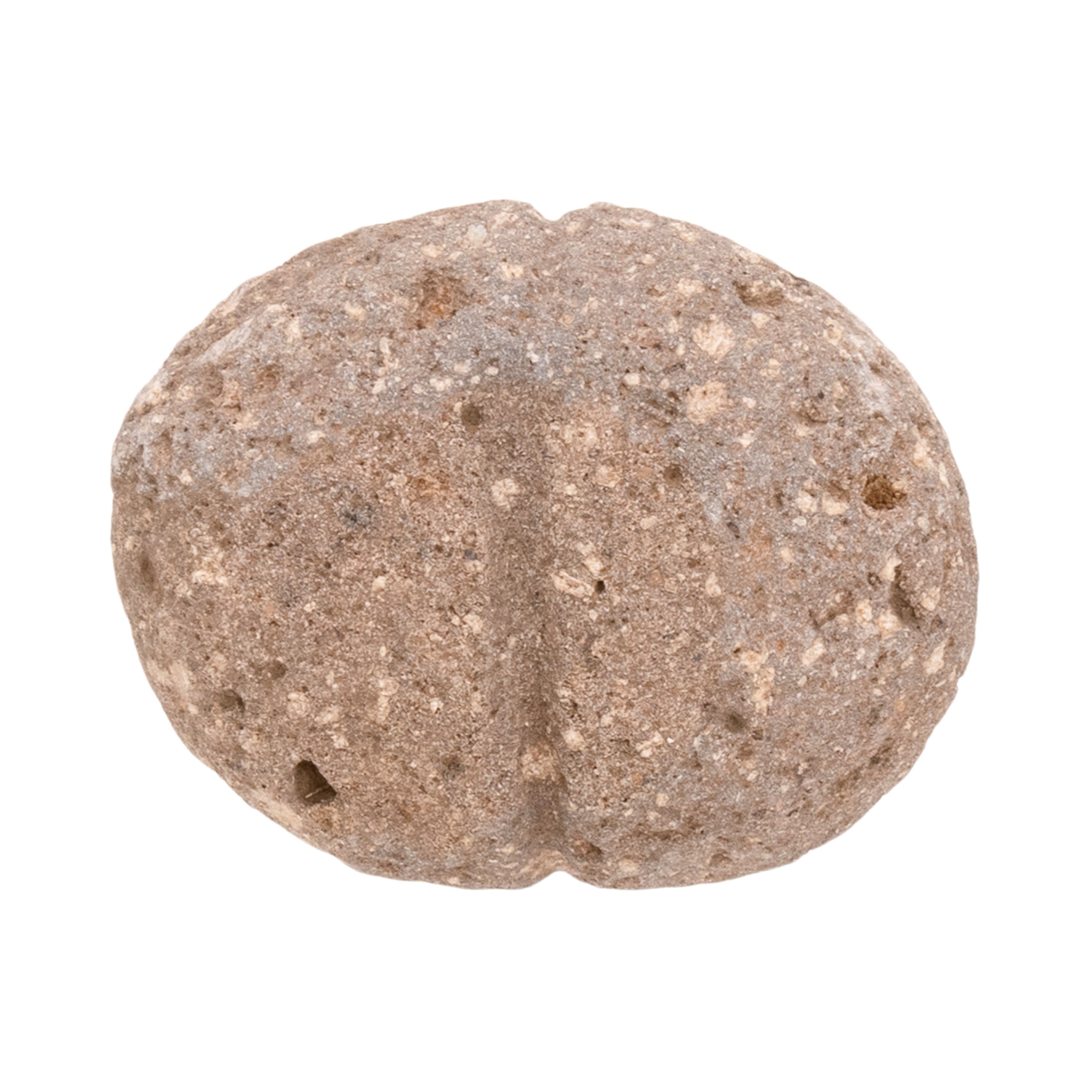 Columbia River Fish Weights