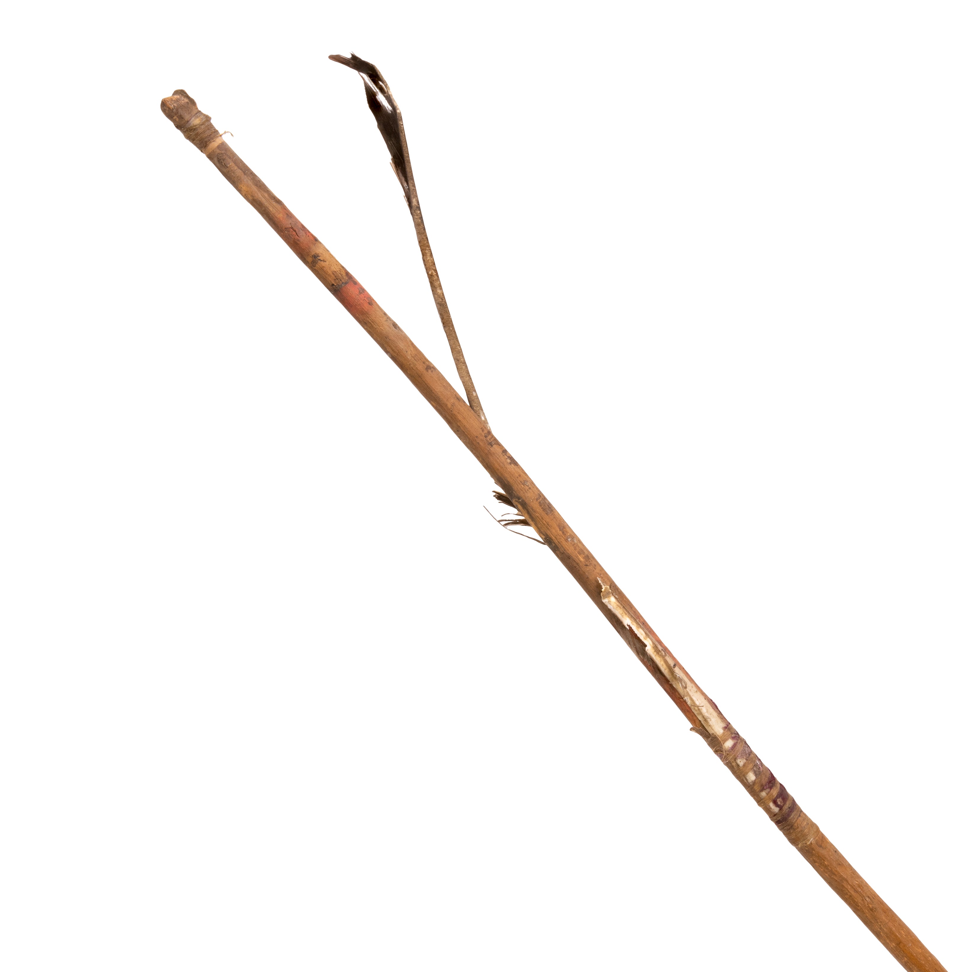 Northern Plains Arrow