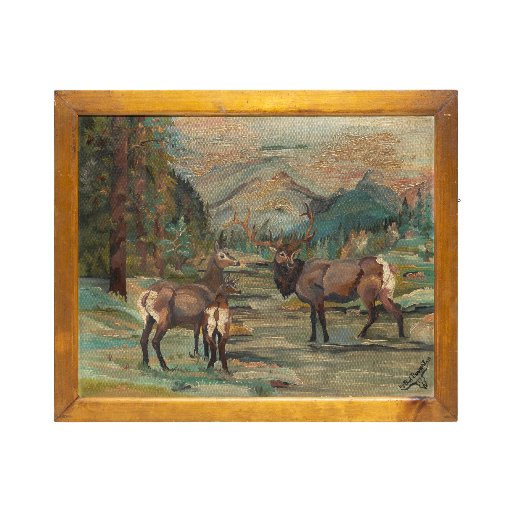 Elk Family by Bud Boughton
