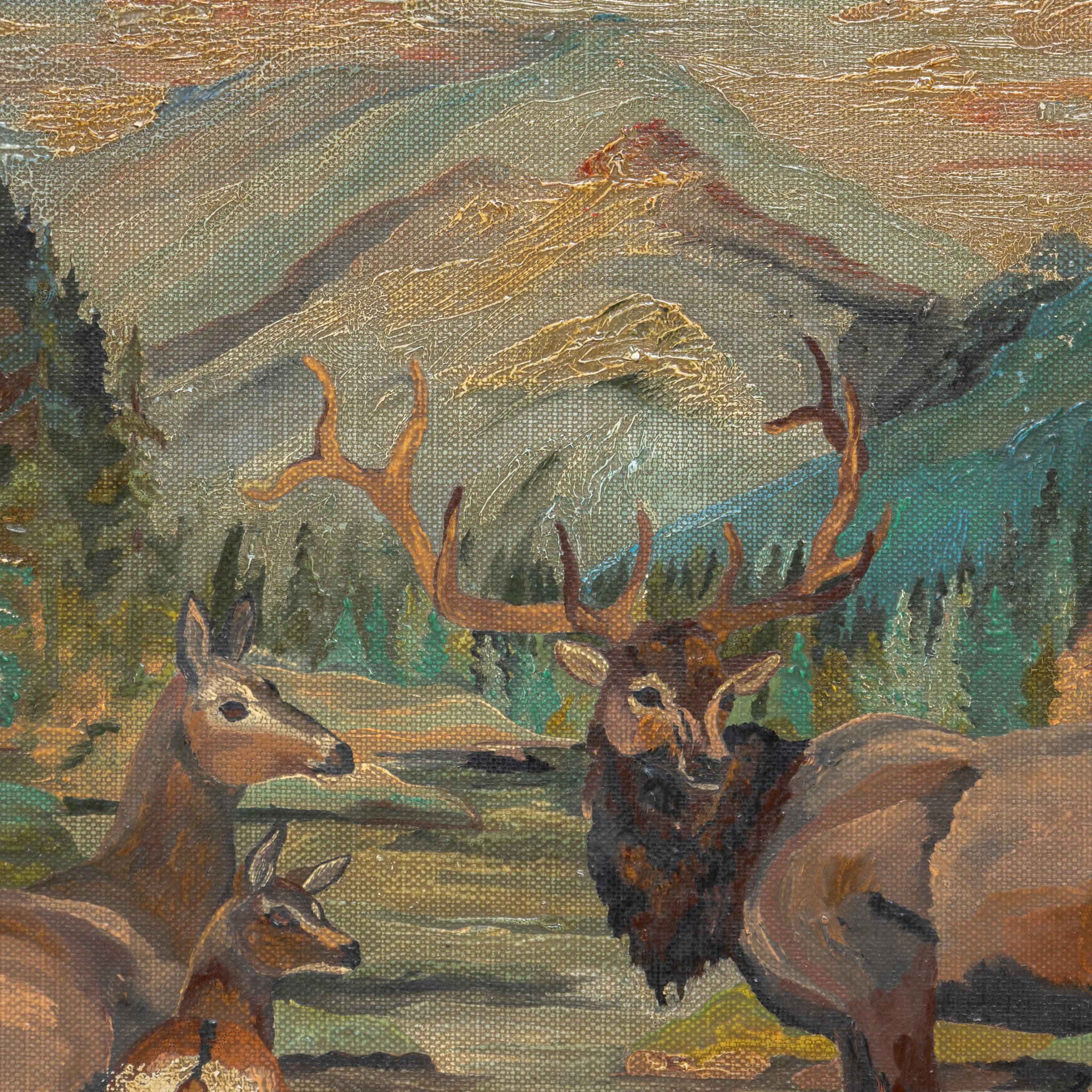 Elk Family by Bud Boughton