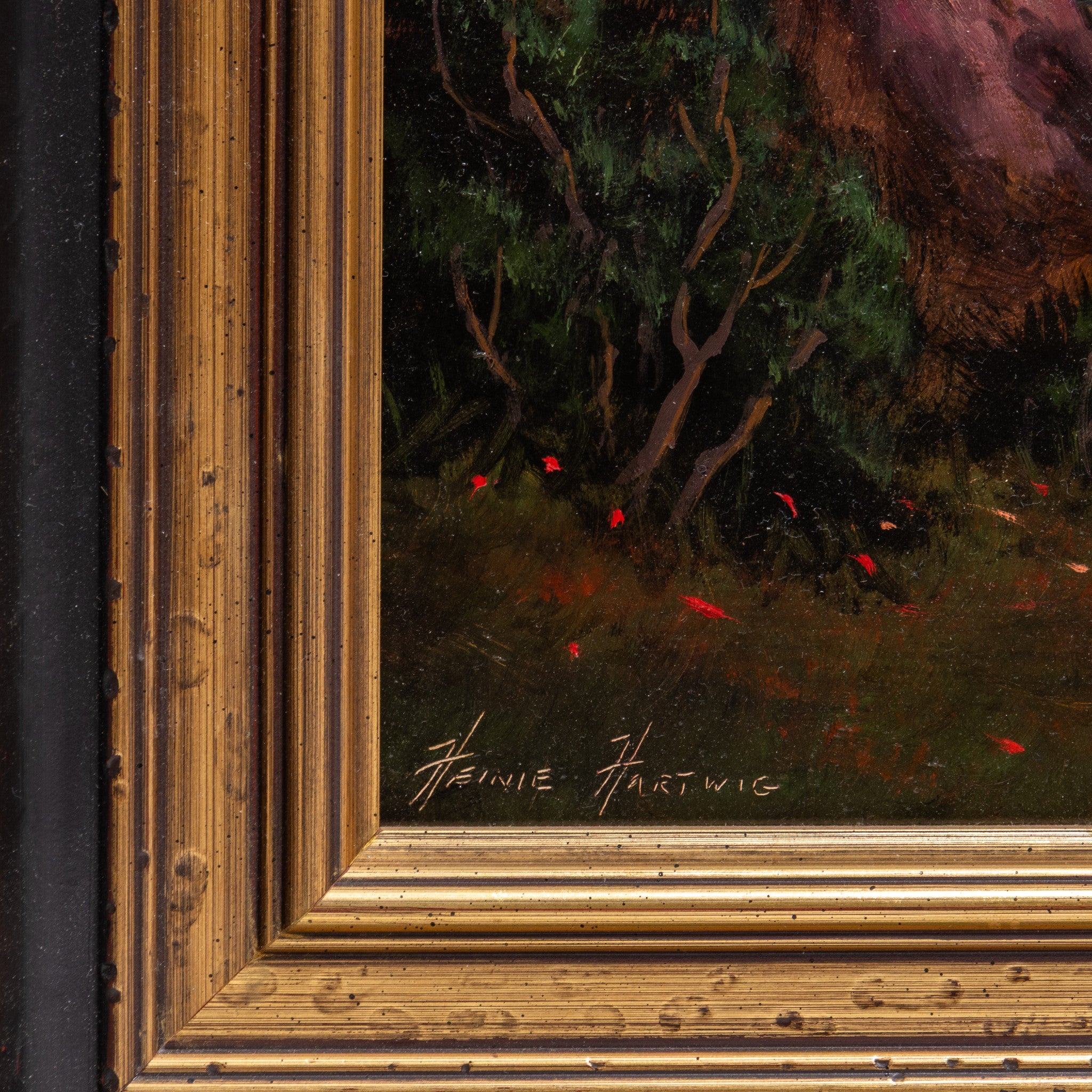 Indians of the Sierra by Heinie Hartwig