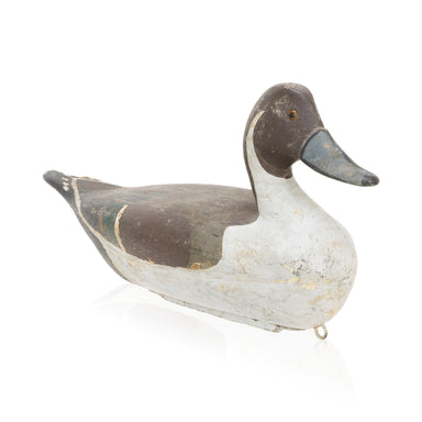 Pintail Decoy, Sporting Goods, Hunting, Waterfowl Decoy