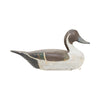 Pintail Decoy
