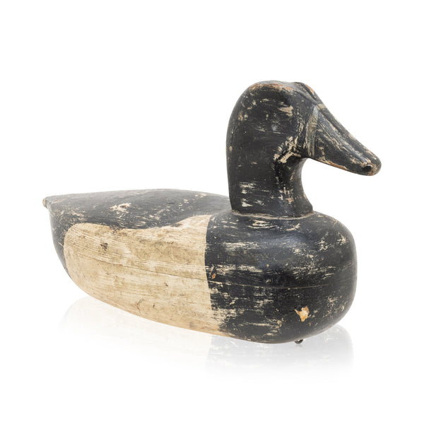 Blue Bill Decoy, Sporting Goods, Hunting, Waterfowl Decoy
